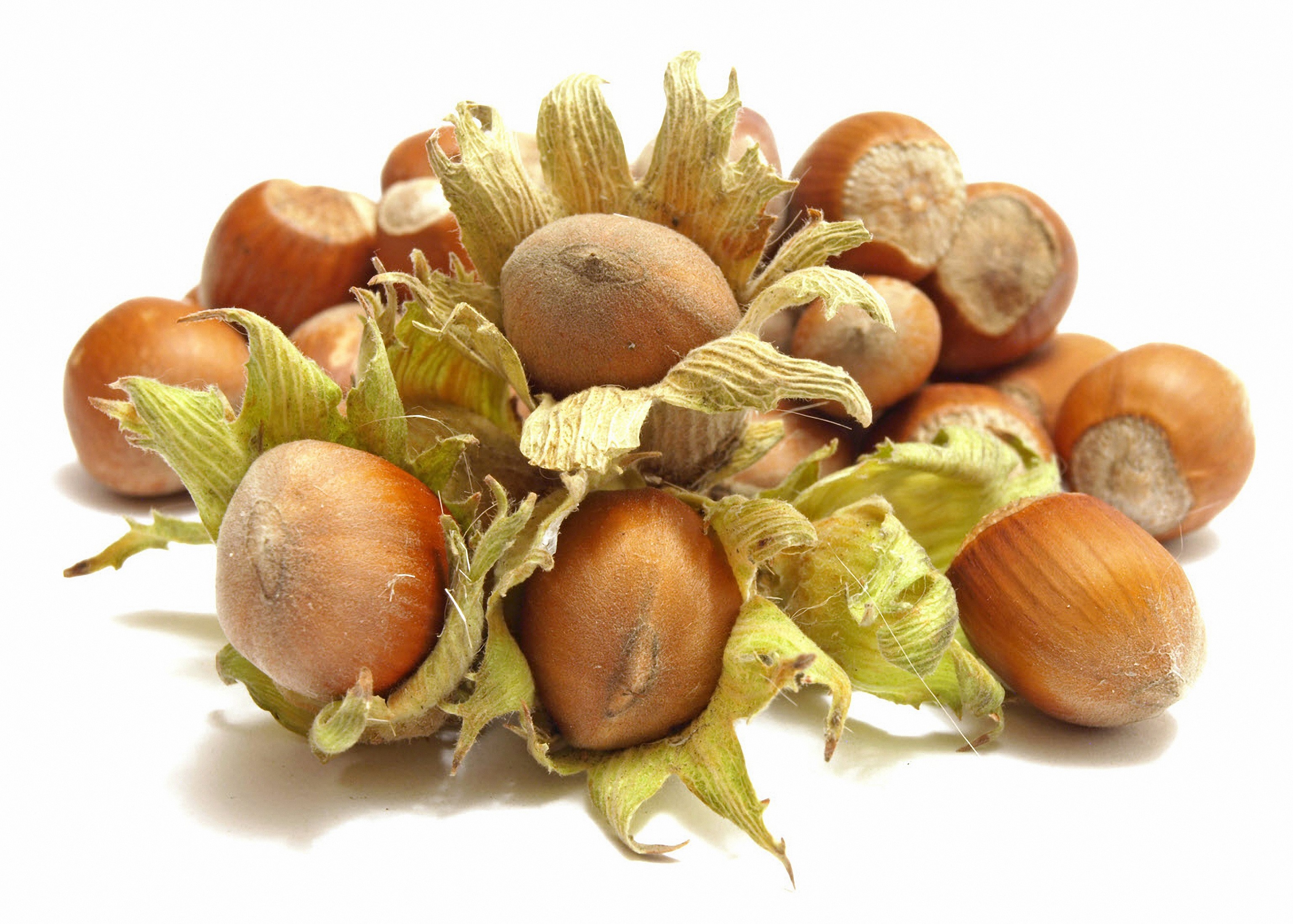 Pile of Hazelnuts with Husks HD Wallpaper