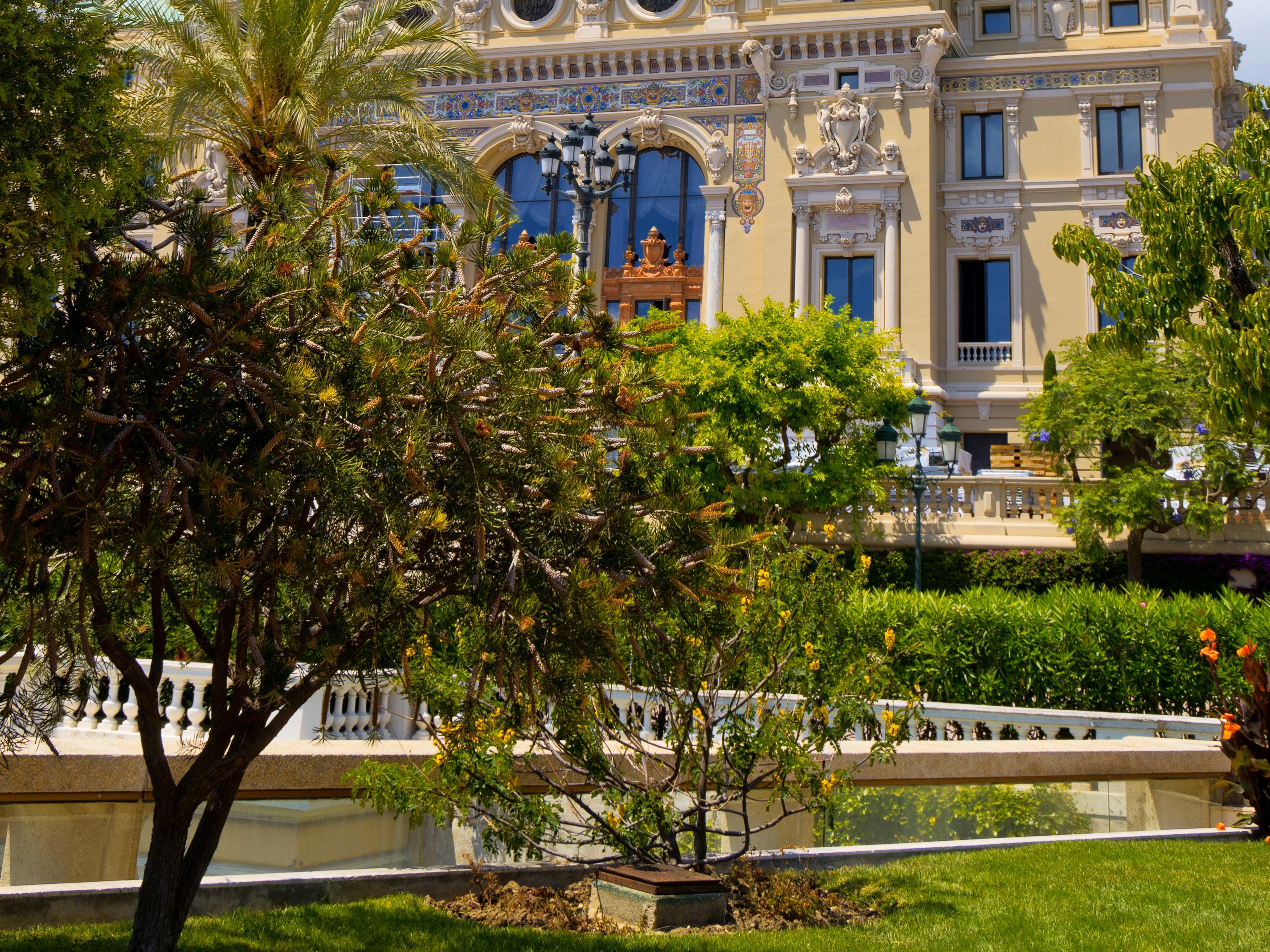 Casino de Monte-Carlo gardens with trees and building HD Wallpaper