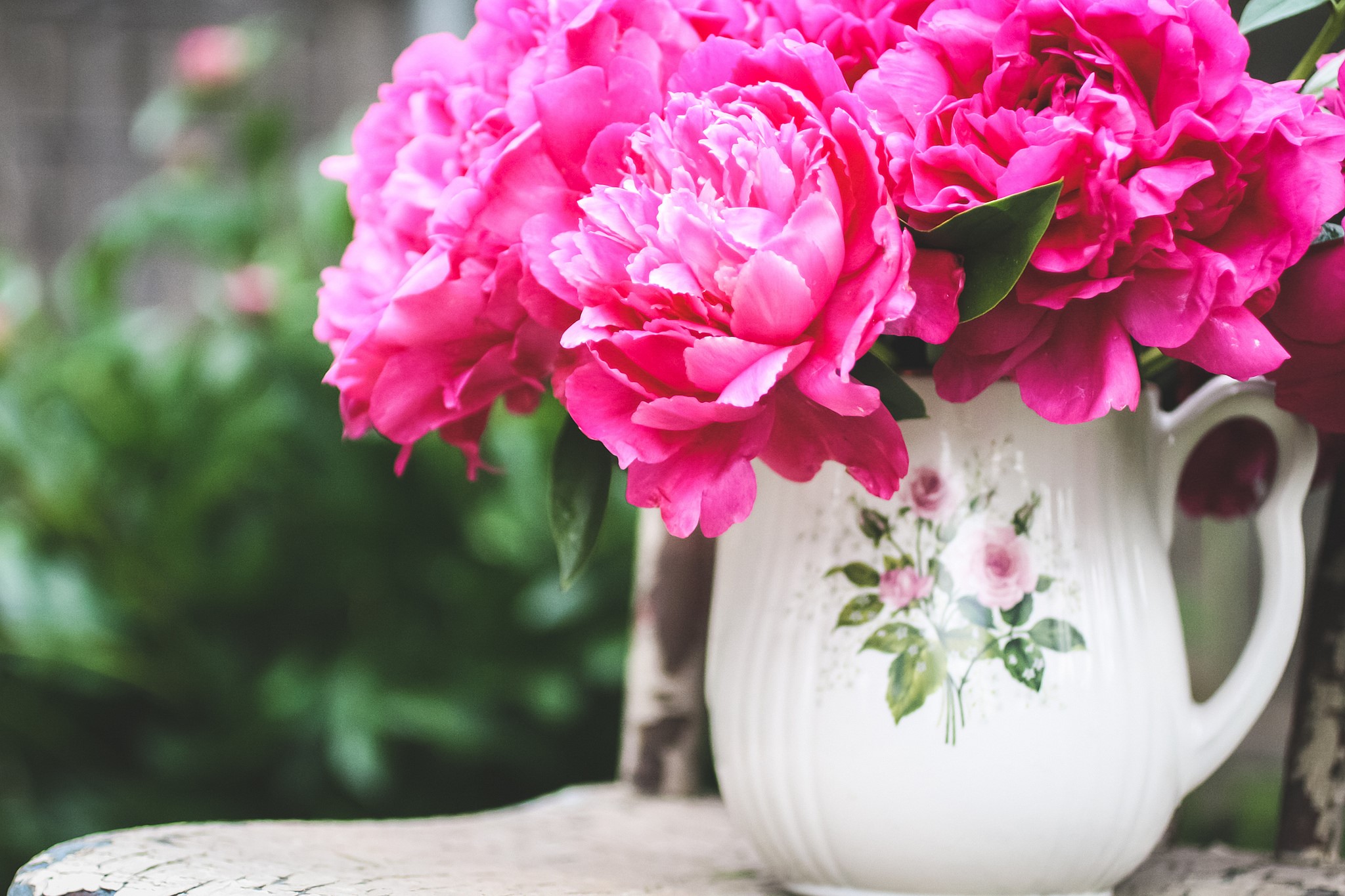 Pink Peonies in a Floral Pitcher HD Wallpaper
