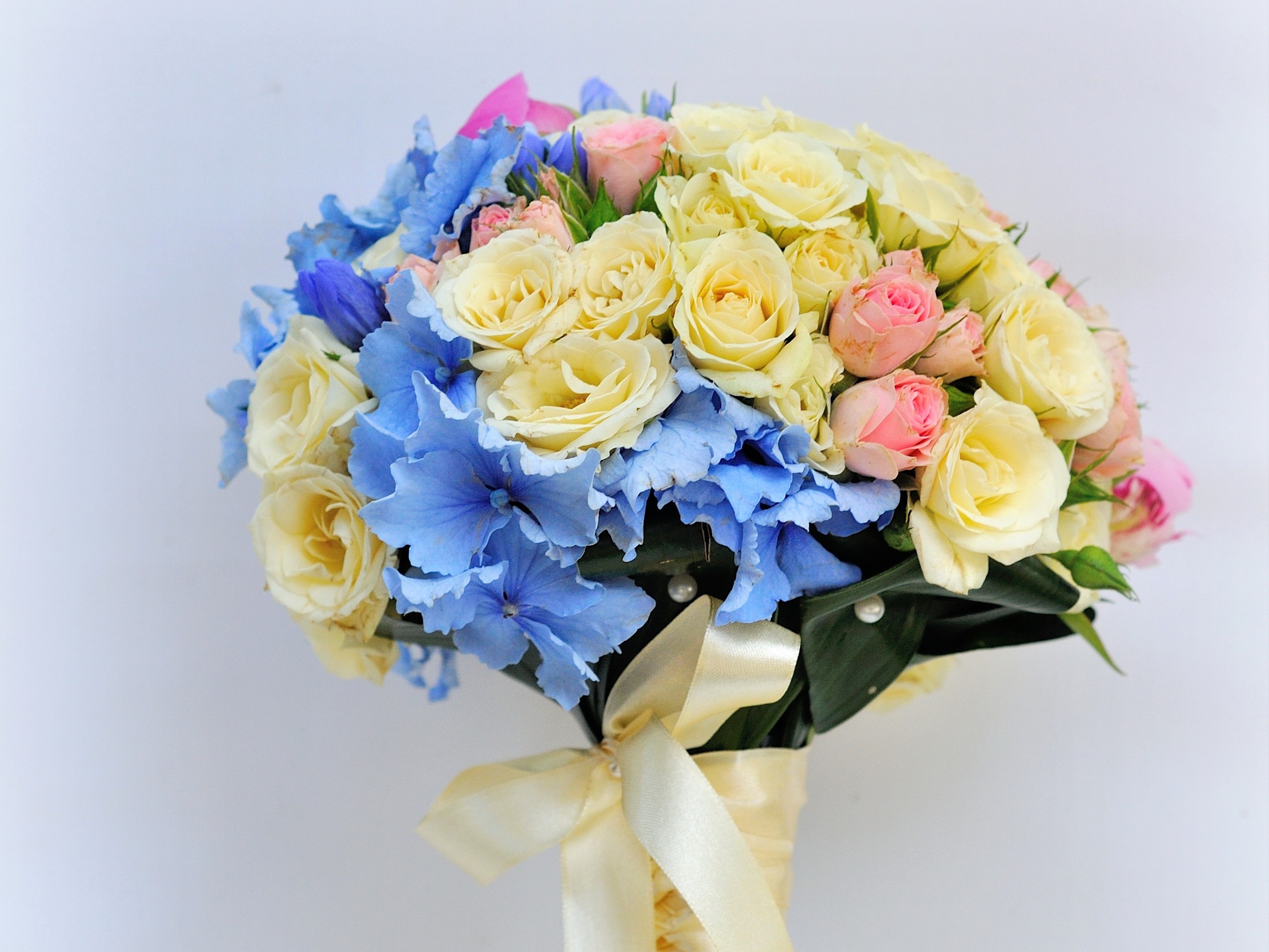 Bouquet of Roses and Hydrangeas with Ribbon HD Wallpaper