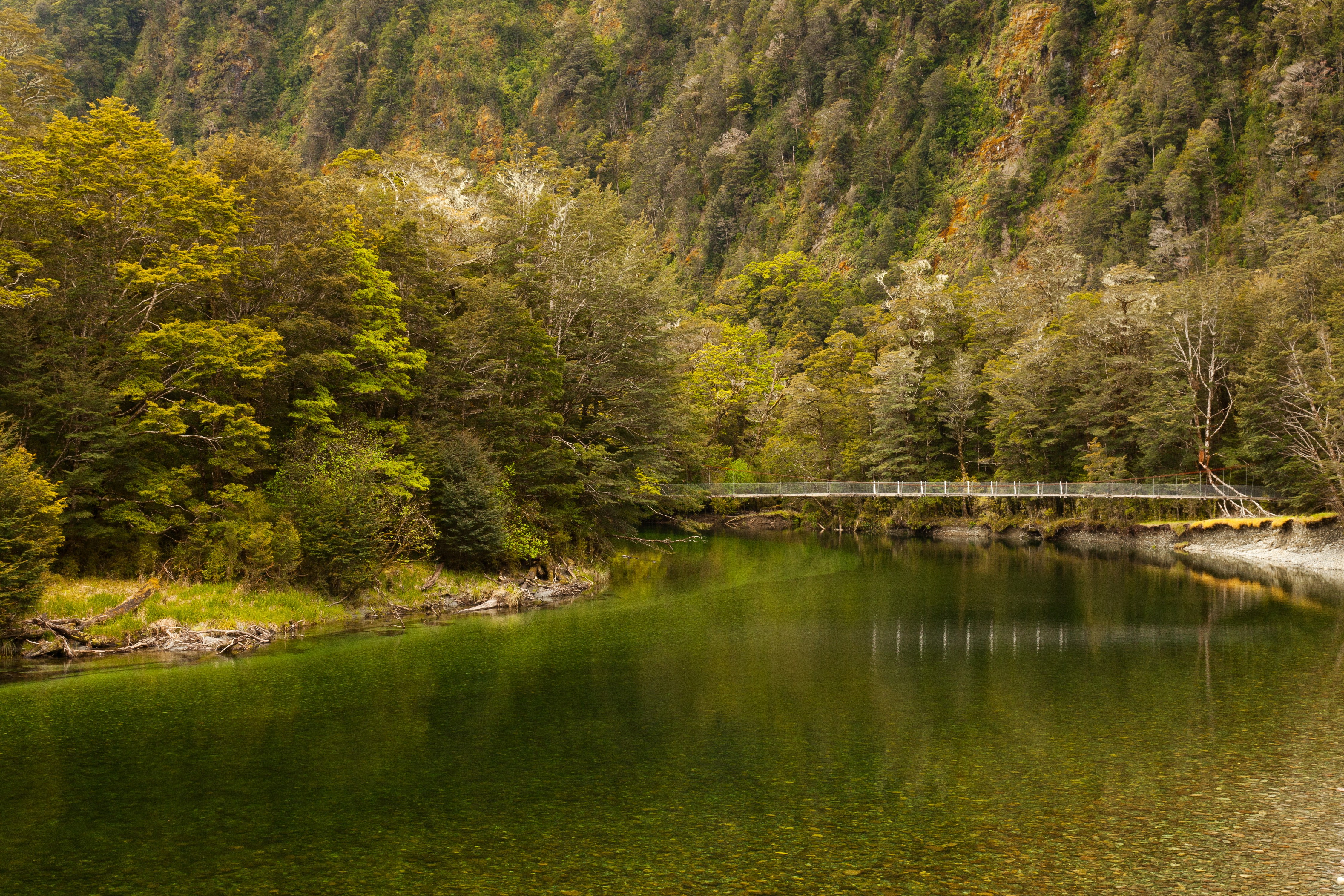 Fiordland Clinton River, New Zealand HD Wallpaper