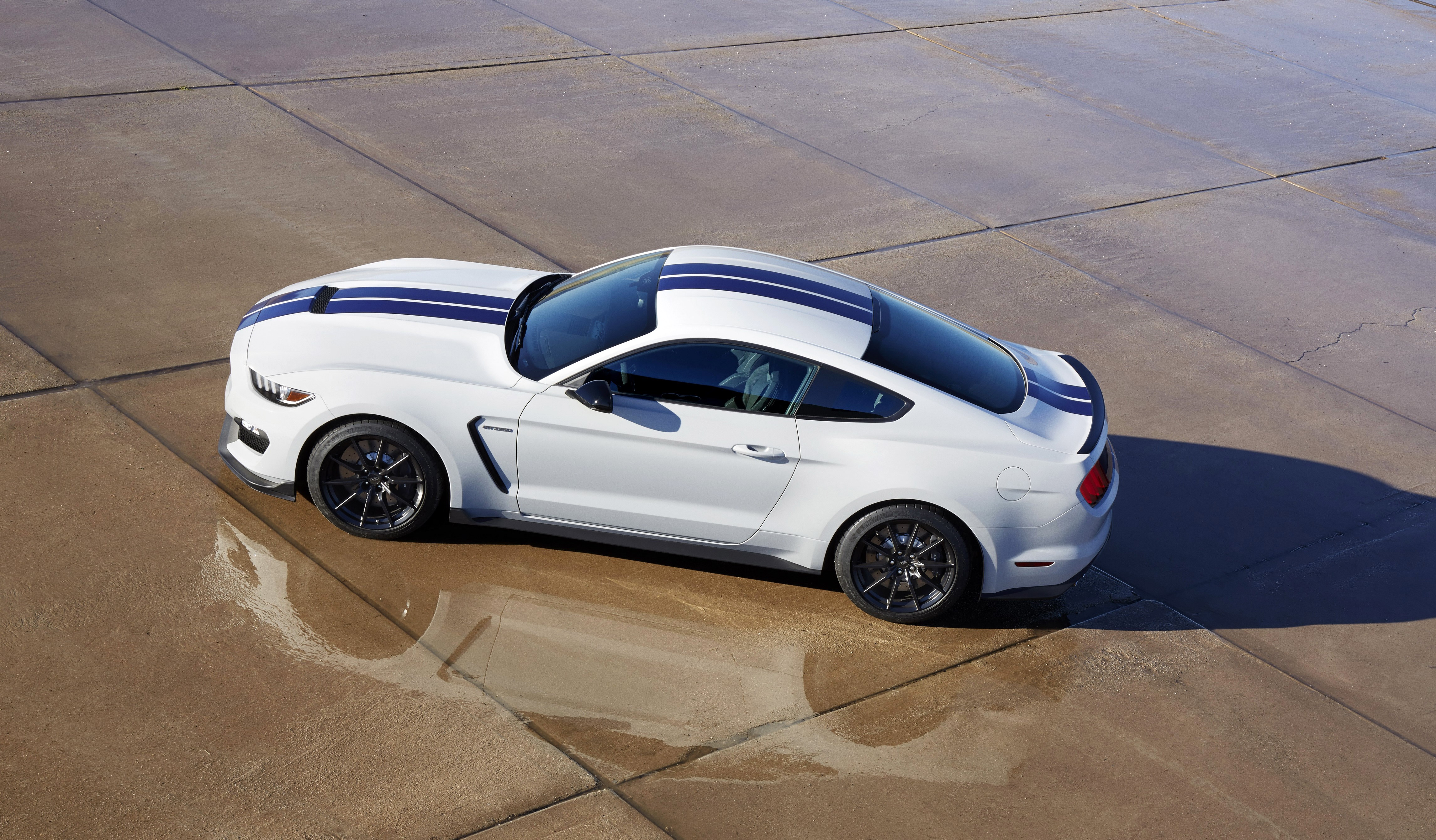 4K White 2015 Ford Mustang Shelby GT350 HD Wallpaper