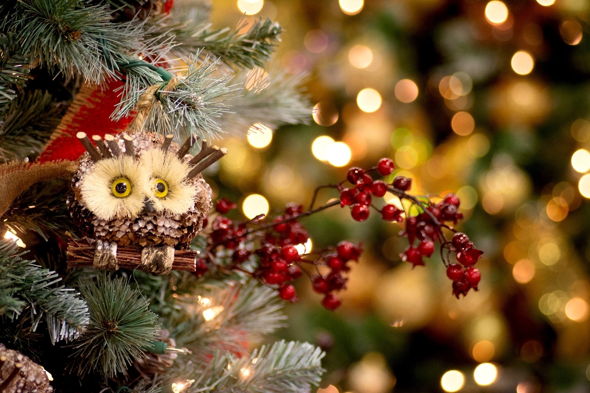 Christmas tree ornament owl with berries and lights HD Wallpaper