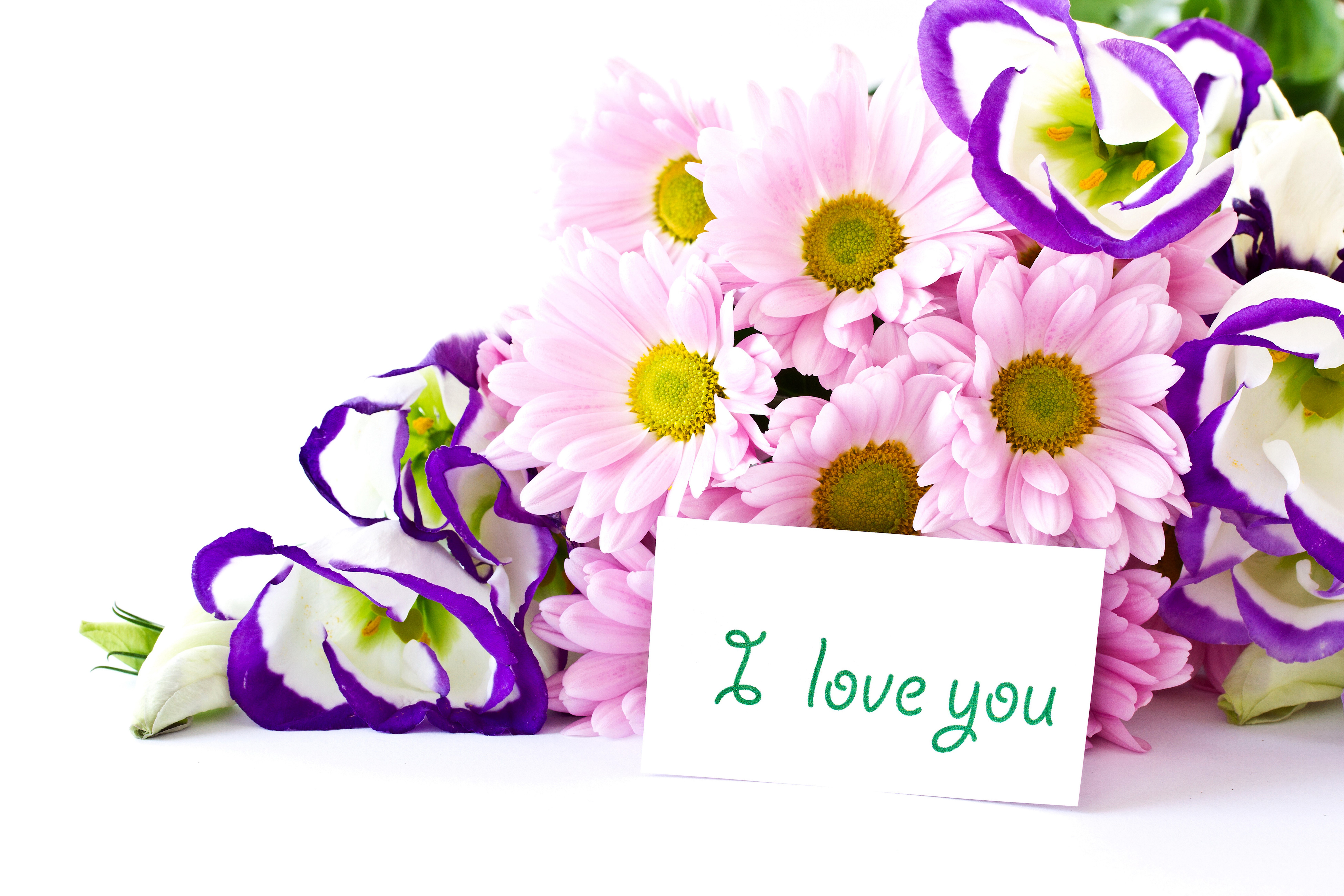 Chrysanthemums and Eustoma flowers with "I love you" card HD Wallpaper