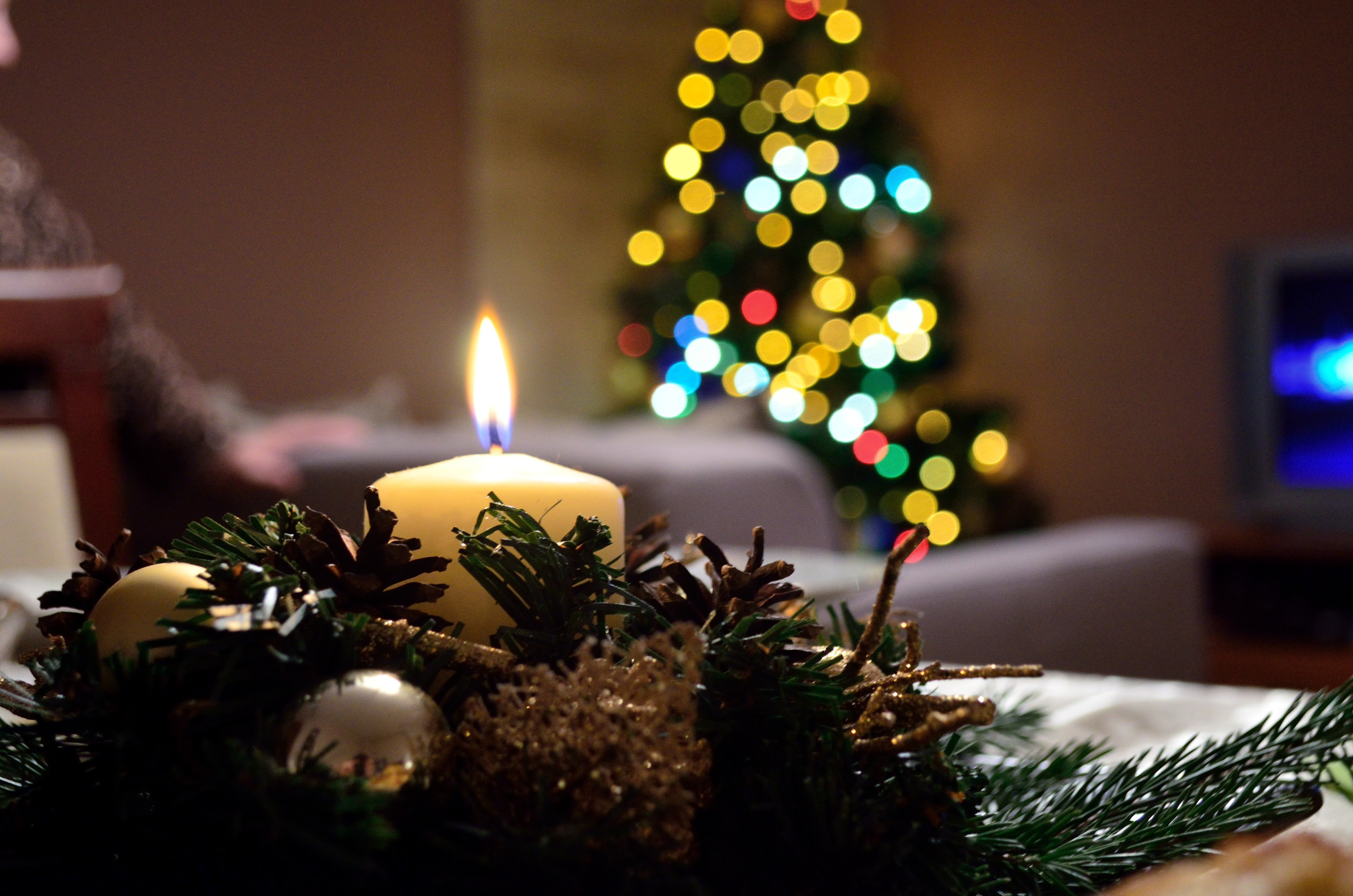 Christmas candle and tree HD Wallpaper