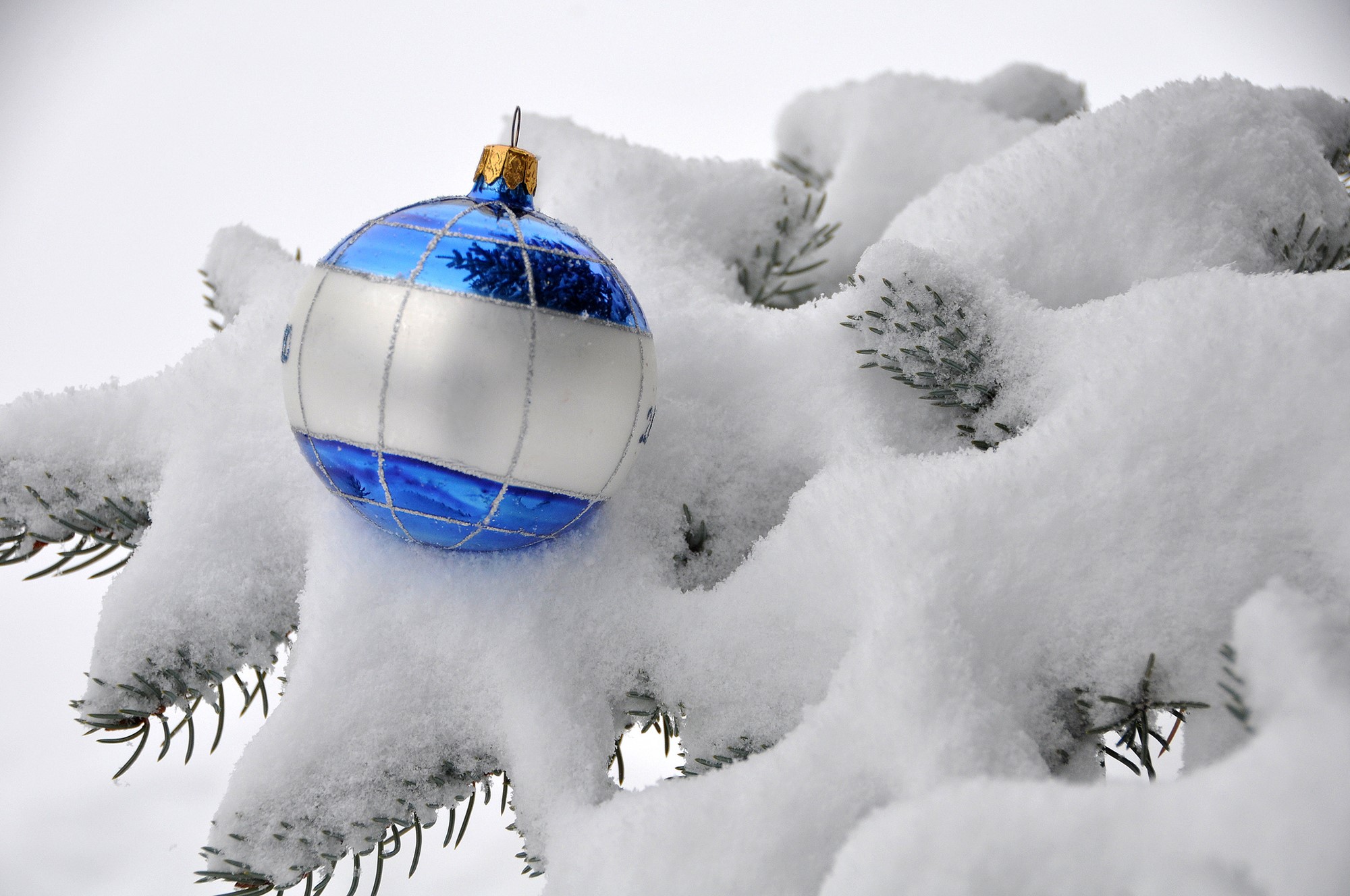 Christmas ornament on a snow-covered fir branch HD Wallpaper