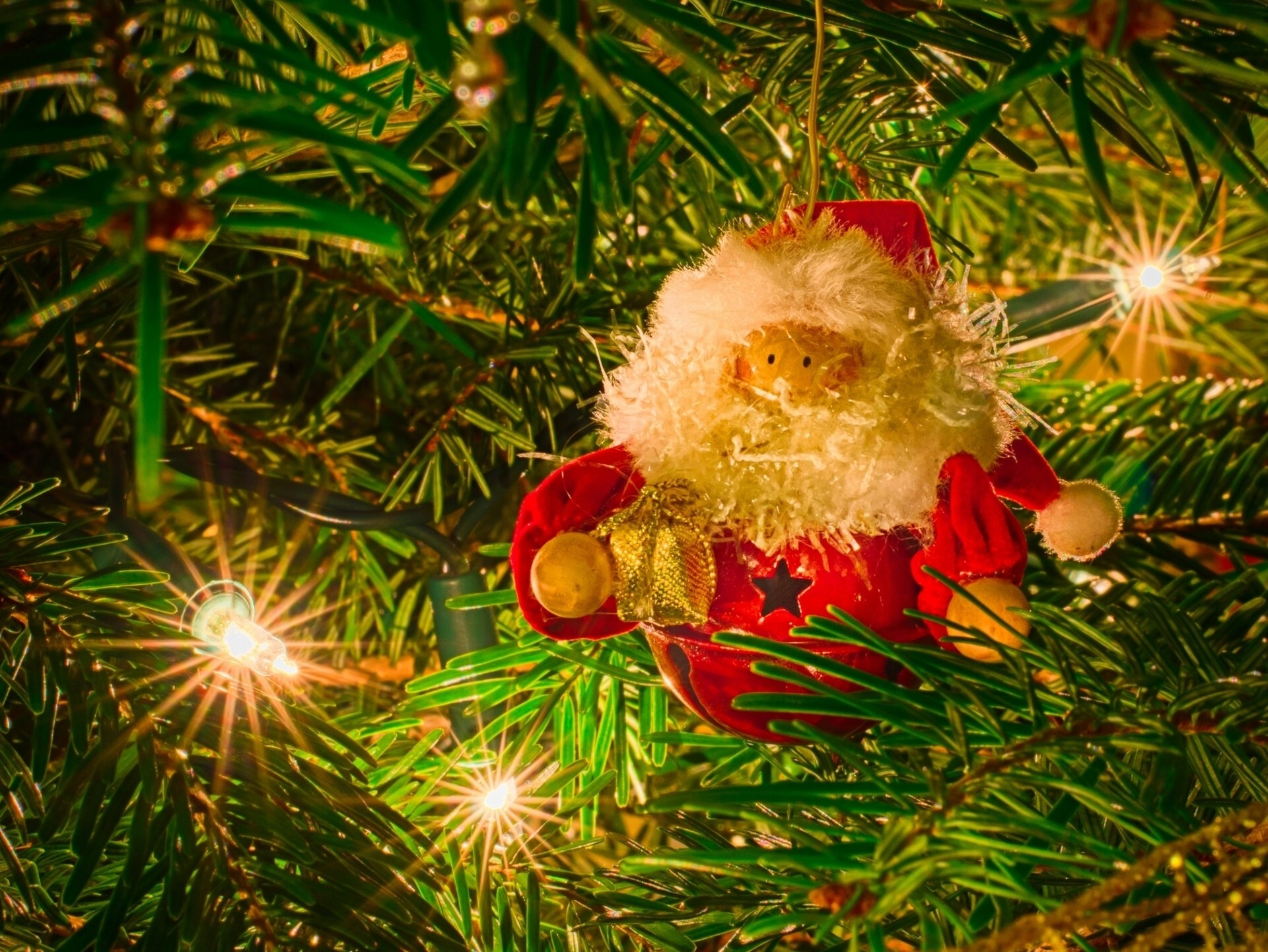 Santa Claus ornament on a Christmas tree with lights HD Wallpaper