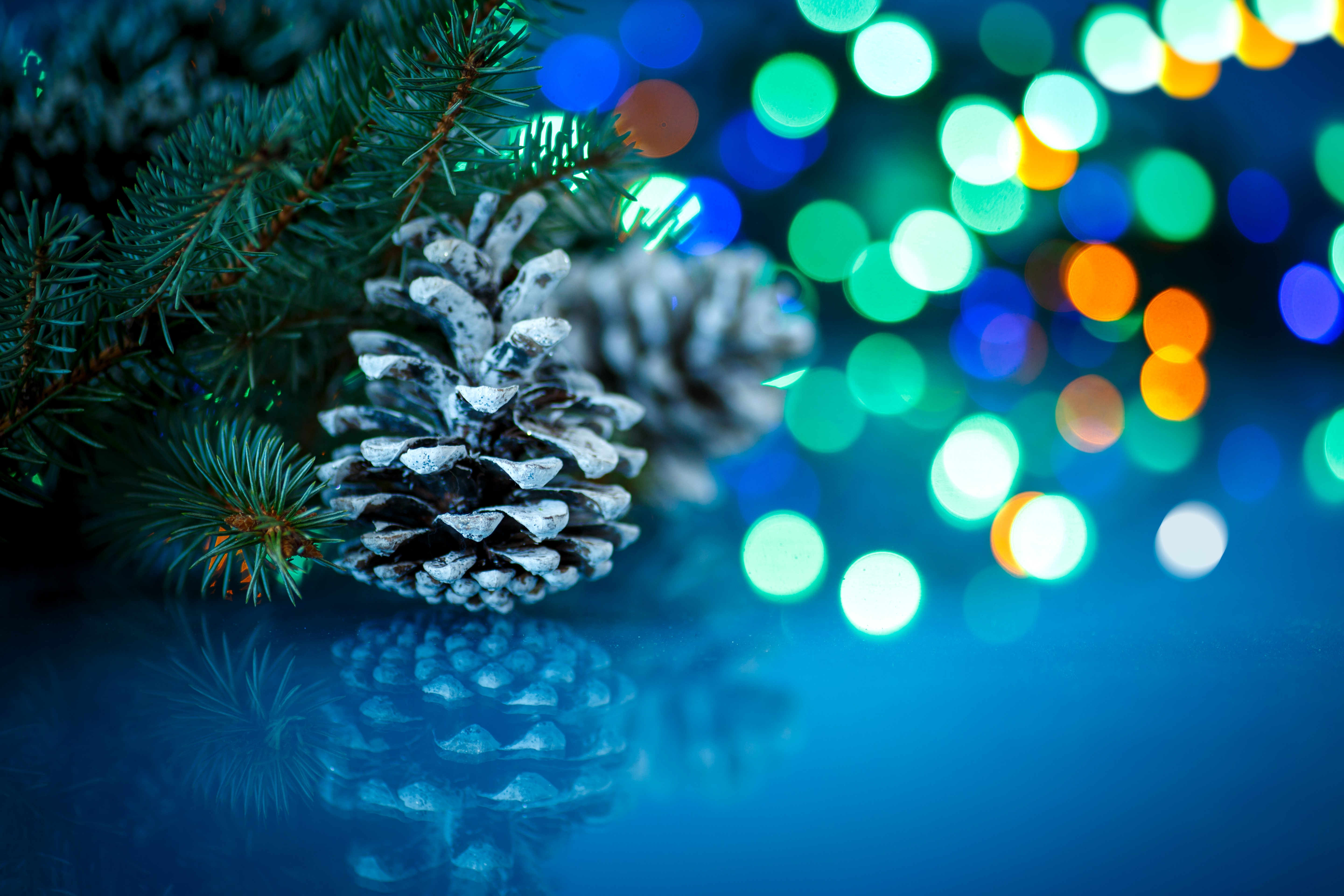 Christmas Pine Cones and Branches with Bokeh Lights HD Wallpaper