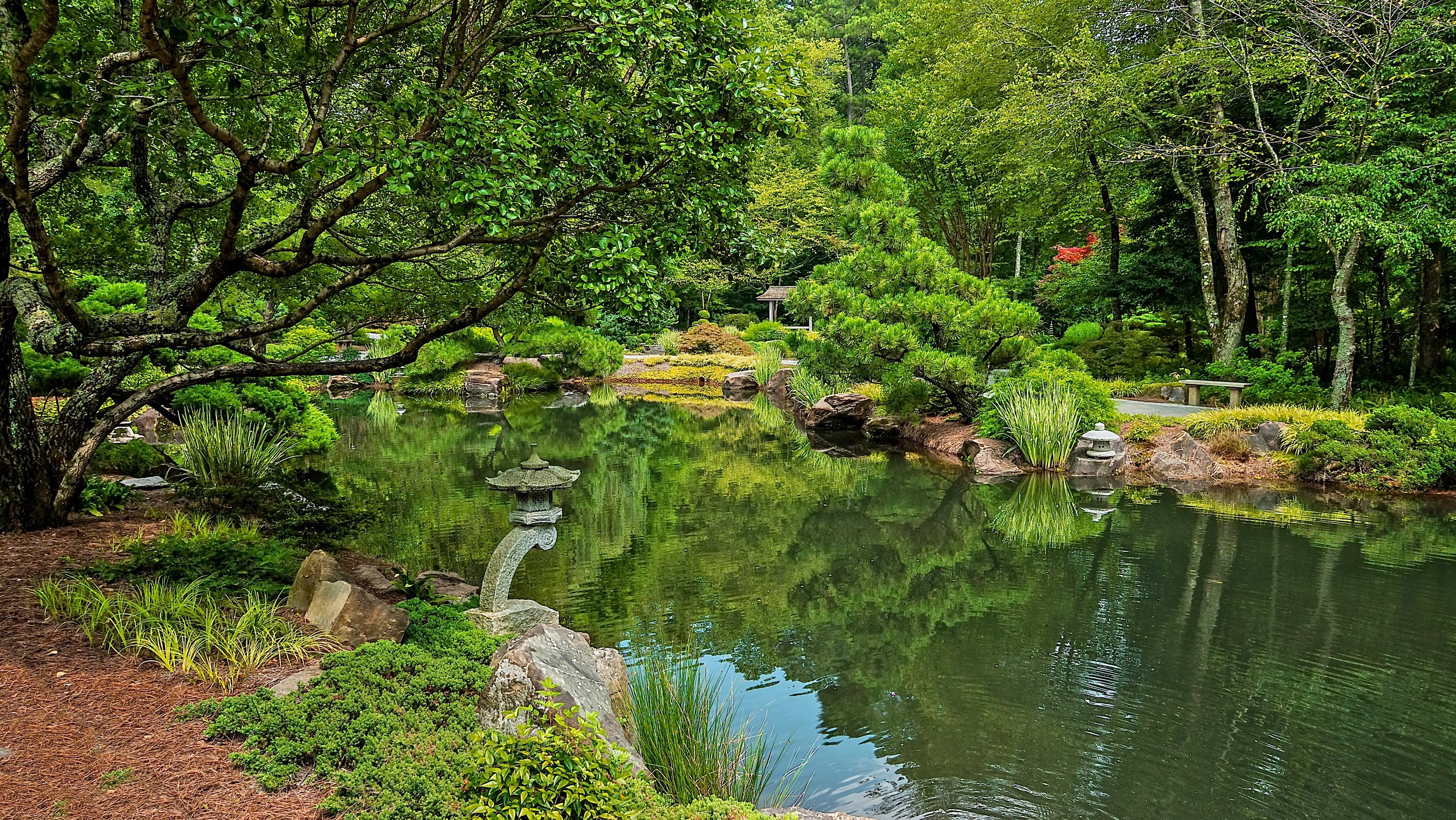 Japanese garden with pond and trees at Gibbs Gardens HD Wallpaper