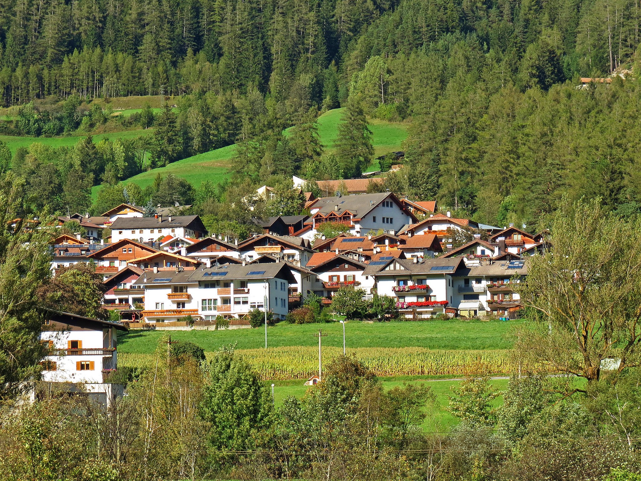 Freienfeld village with houses and trees in Italy HD Wallpaper