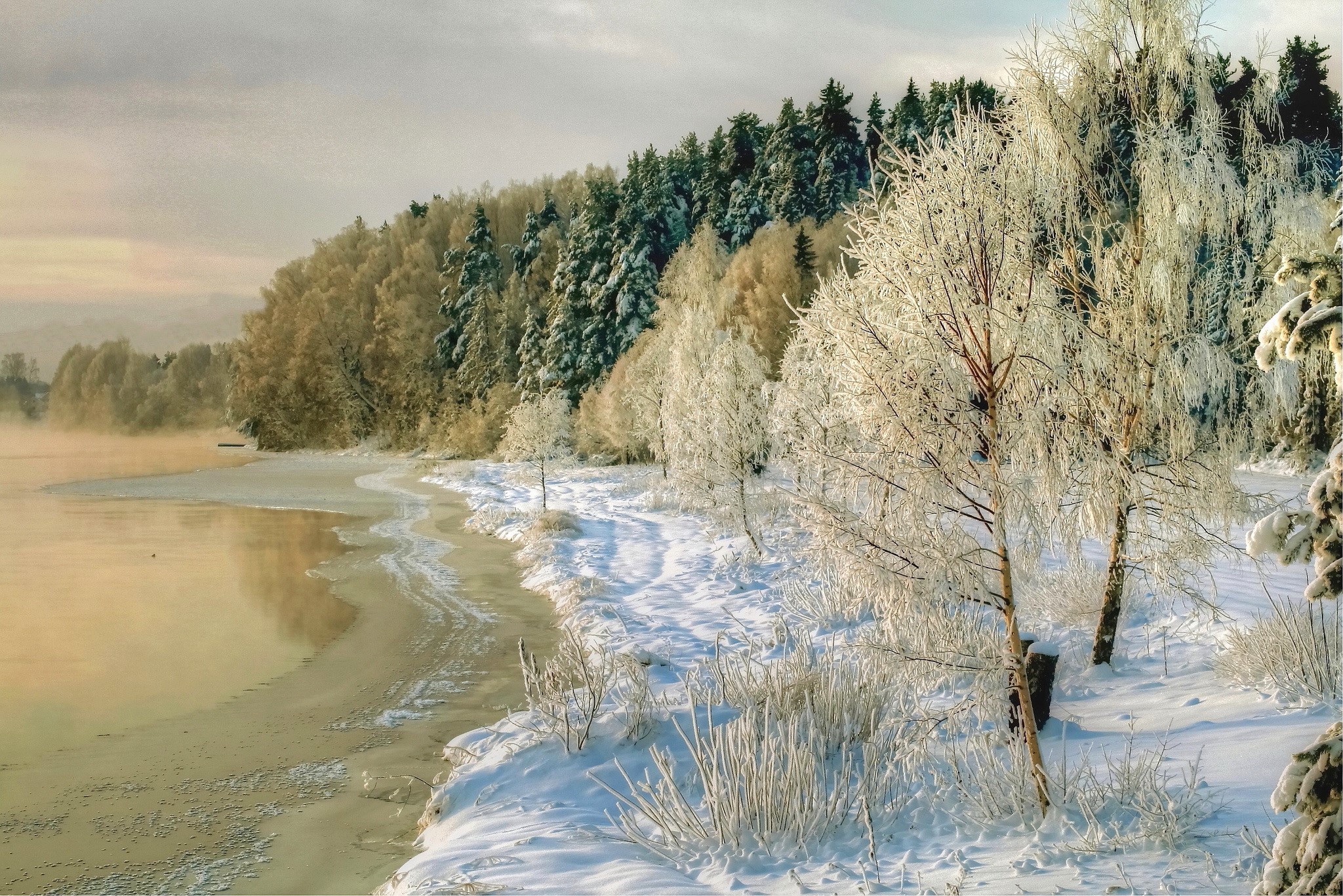 Winter scene with a frozen lake and snow-covered trees HD Wallpaper