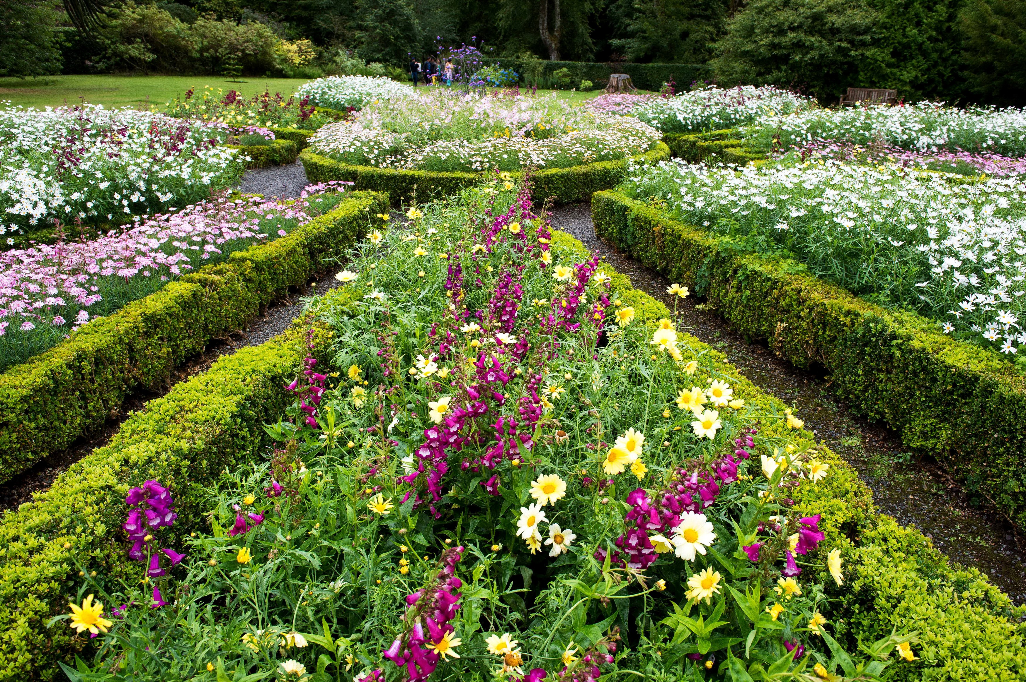 Dunvegan Castle Gardens, Scotland with Digitalis and Camomiles HD Wallpaper