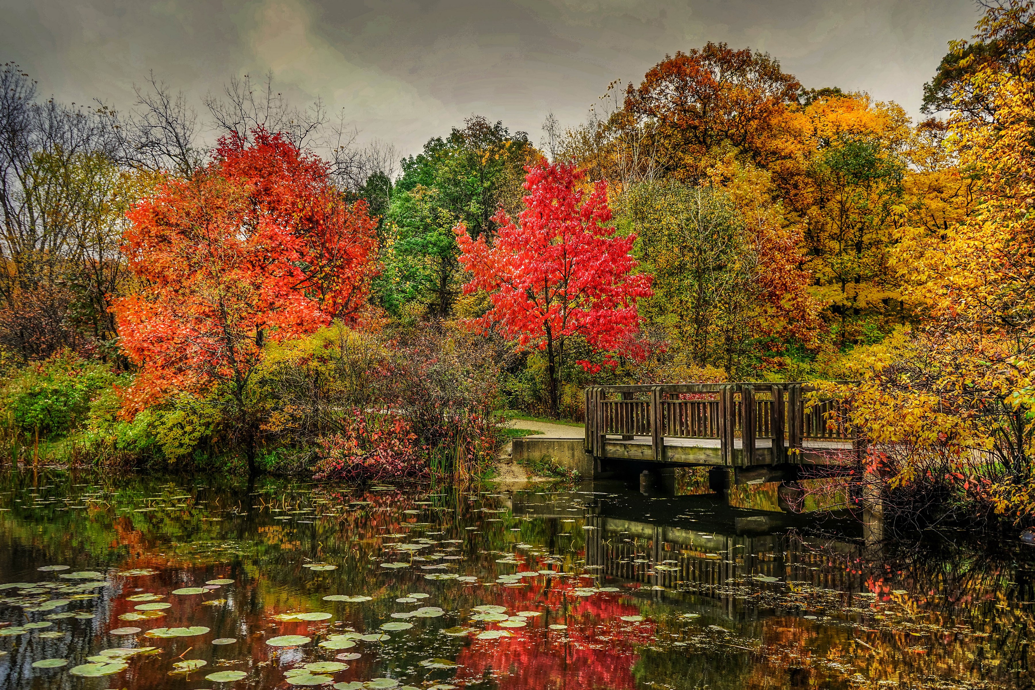 Autumn park with a pond and wooden bridge HD Wallpaper