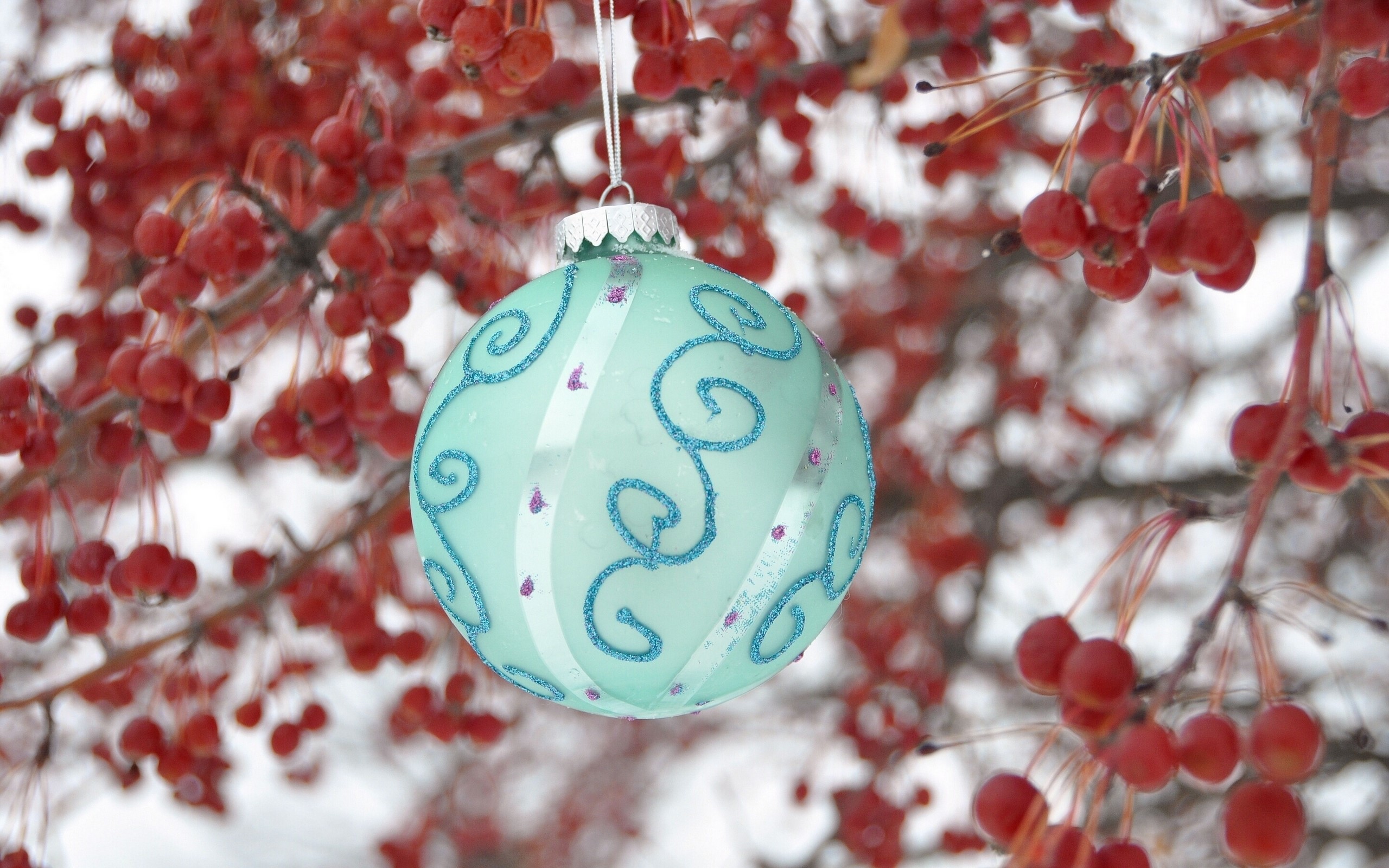 Christmas ornament on a branch with red berries HD Wallpaper