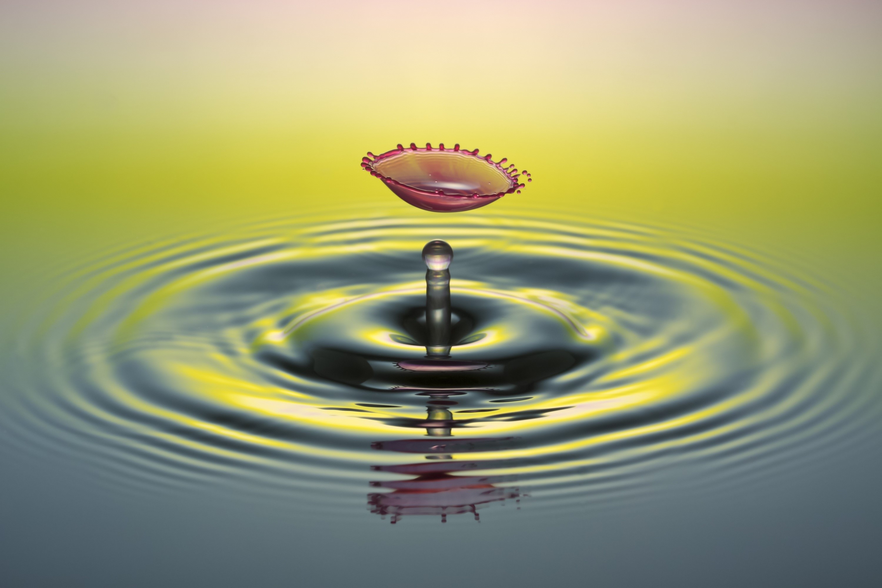 Water drop splash with ripples HD Wallpaper