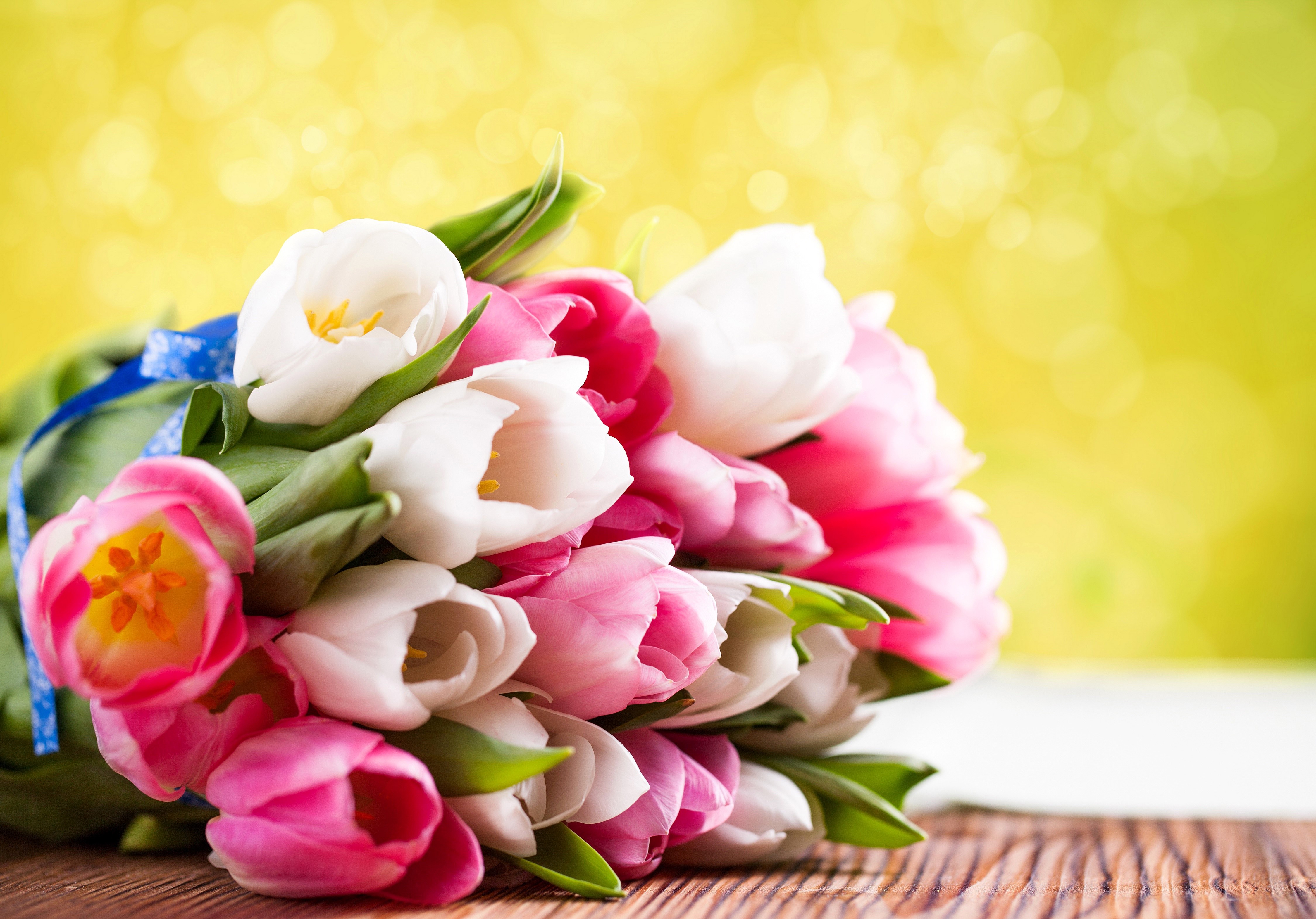 4K Tulips Bouquet HD Wallpaper