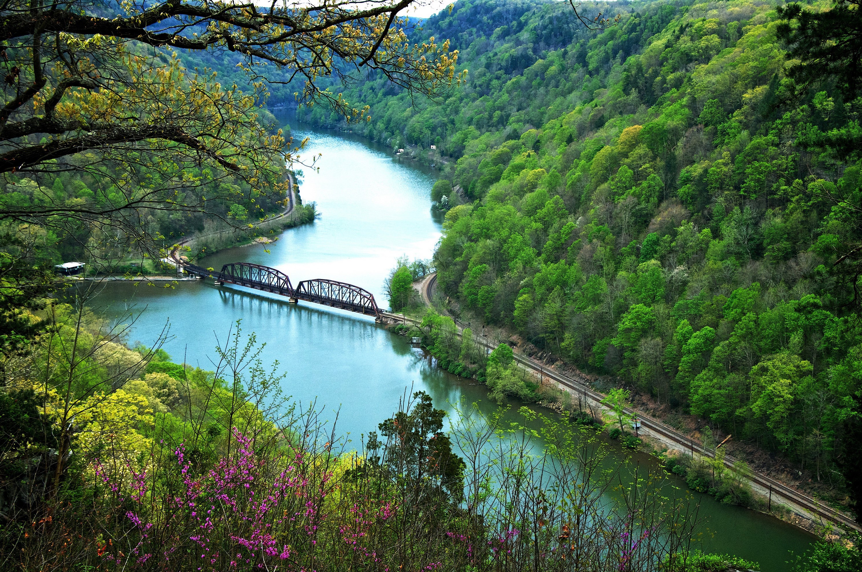 River and bridge surrounded by green forests HD Wallpaper