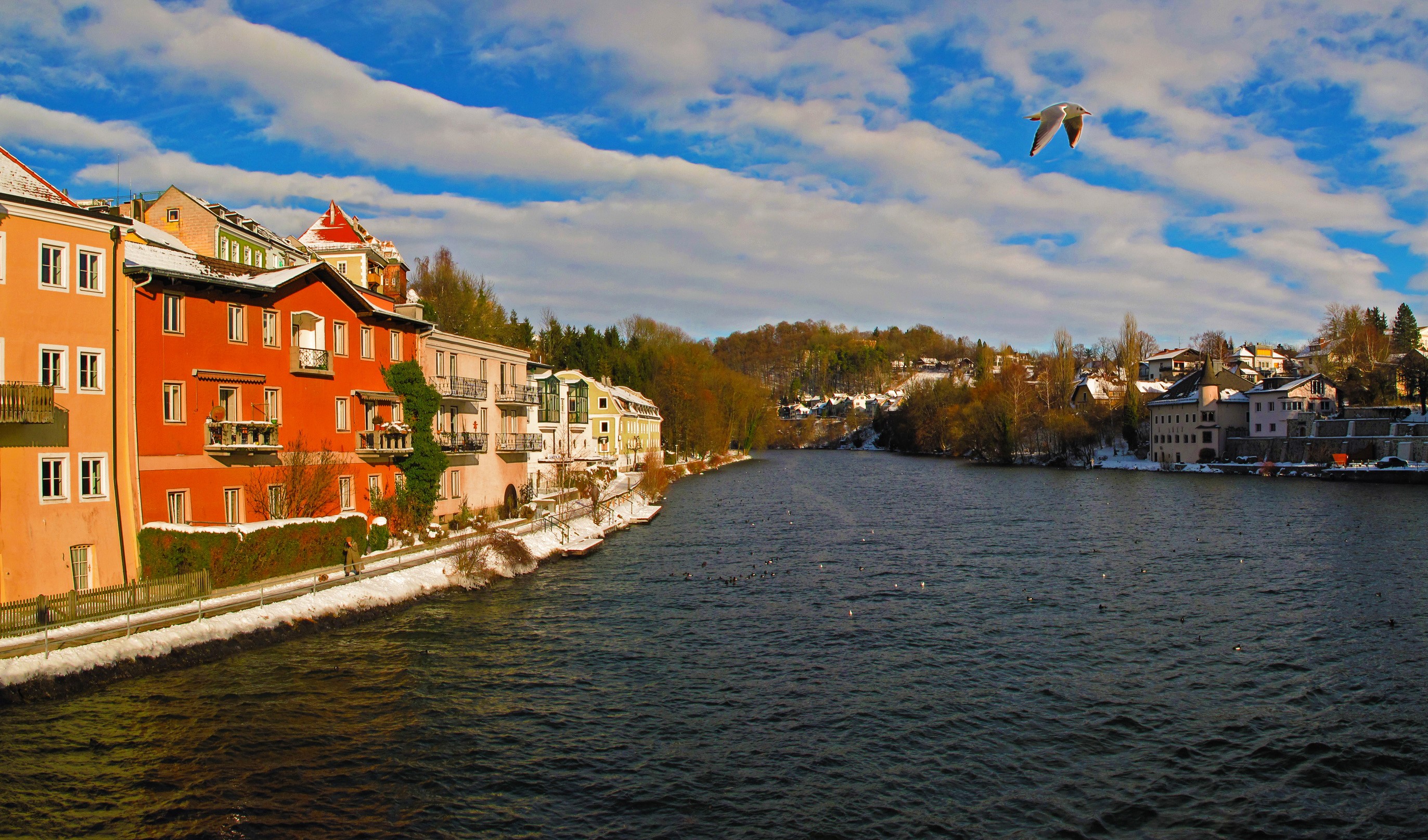 Gmunden, Austria: Houses along a river with a seagull flying HD Wallpaper