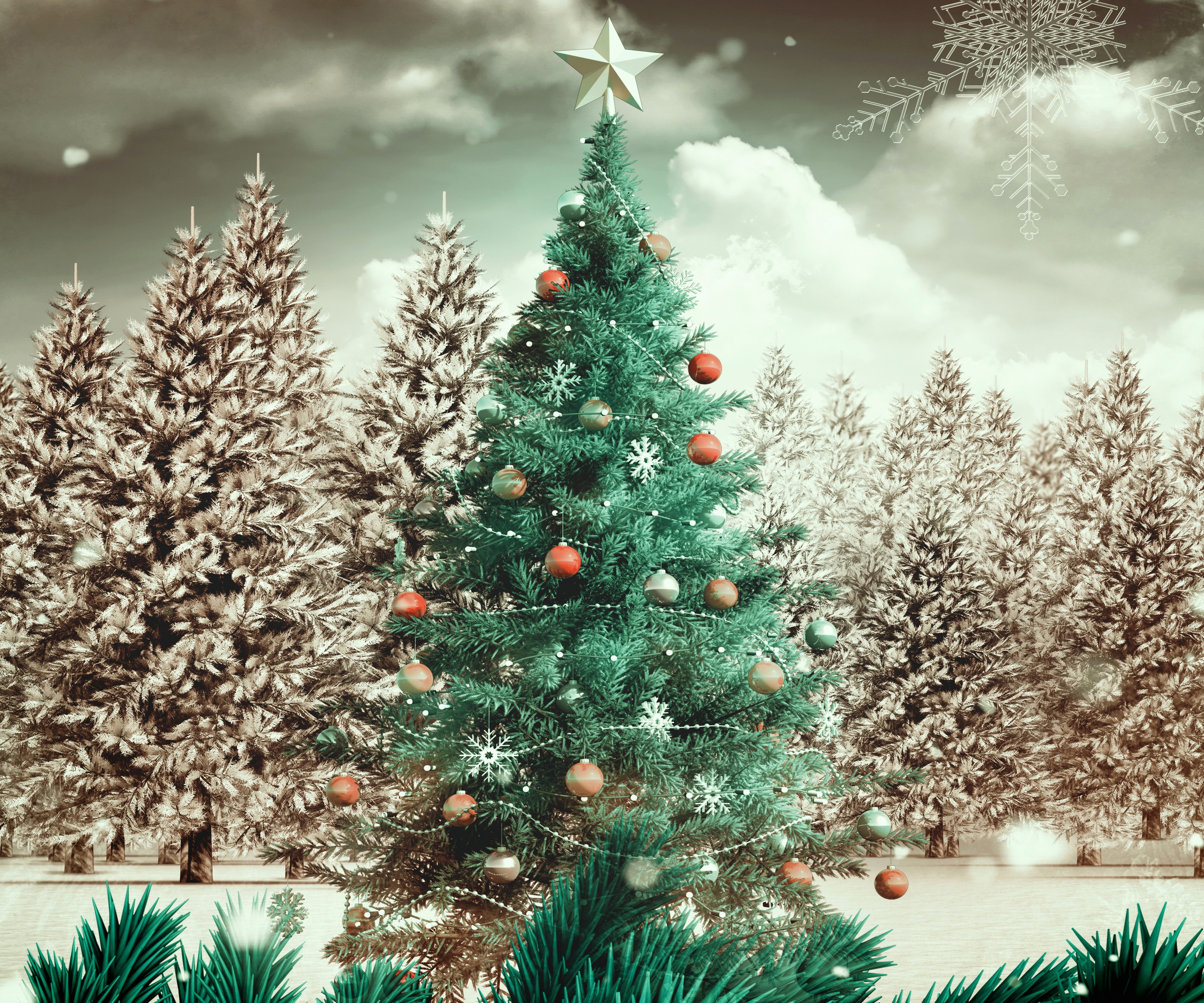 Decorated Christmas Tree in Snowy Forest HD Wallpaper