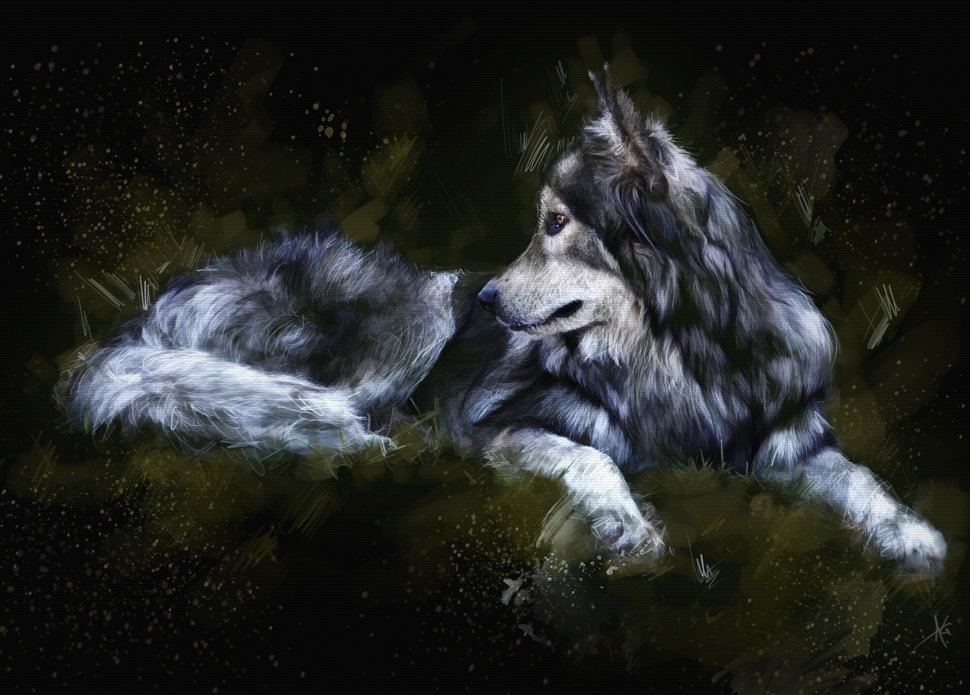 Digital painting of a wolf lying down HD Wallpaper