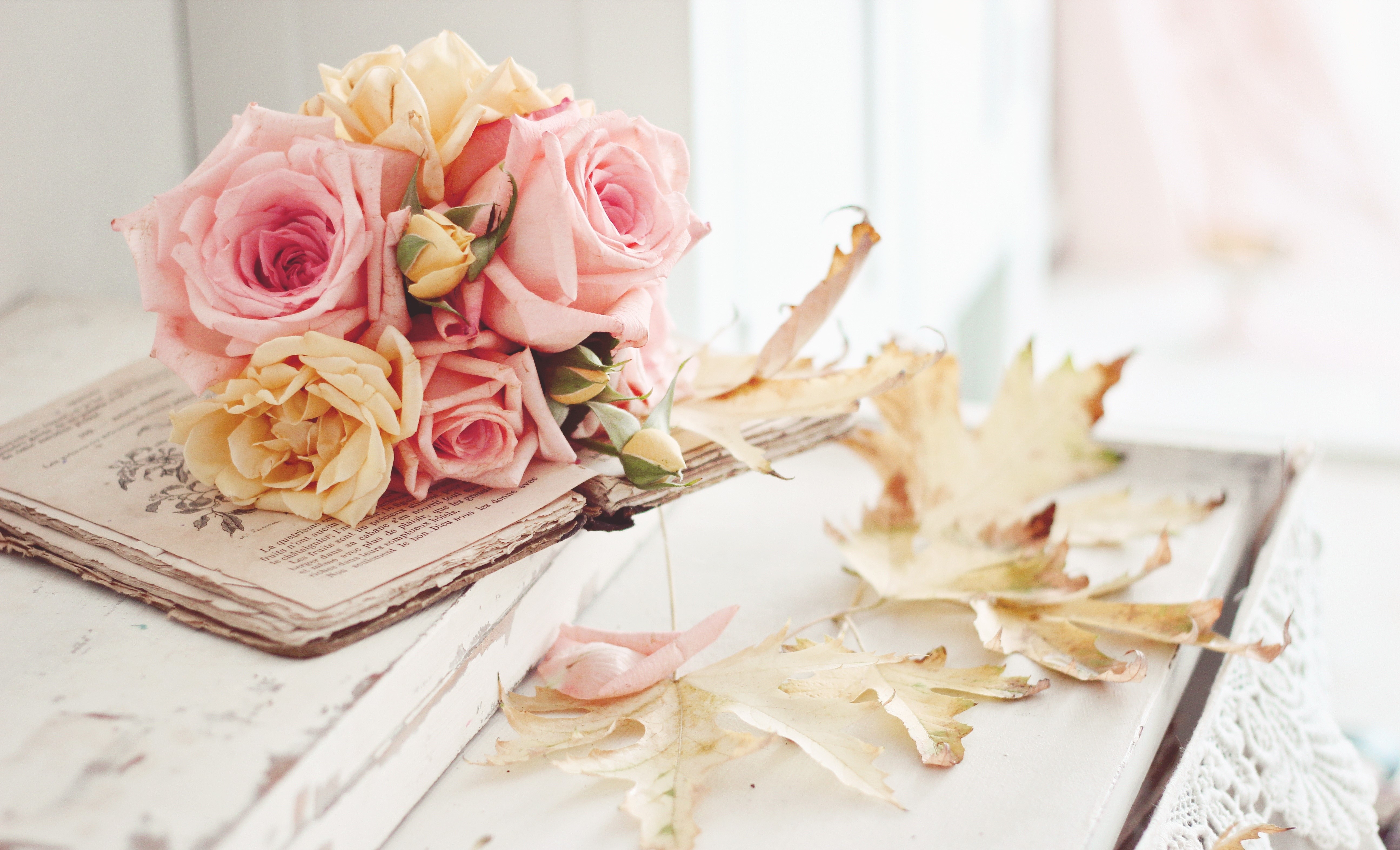 Pink and yellow roses on an old book with fallen leaves HD Wallpaper