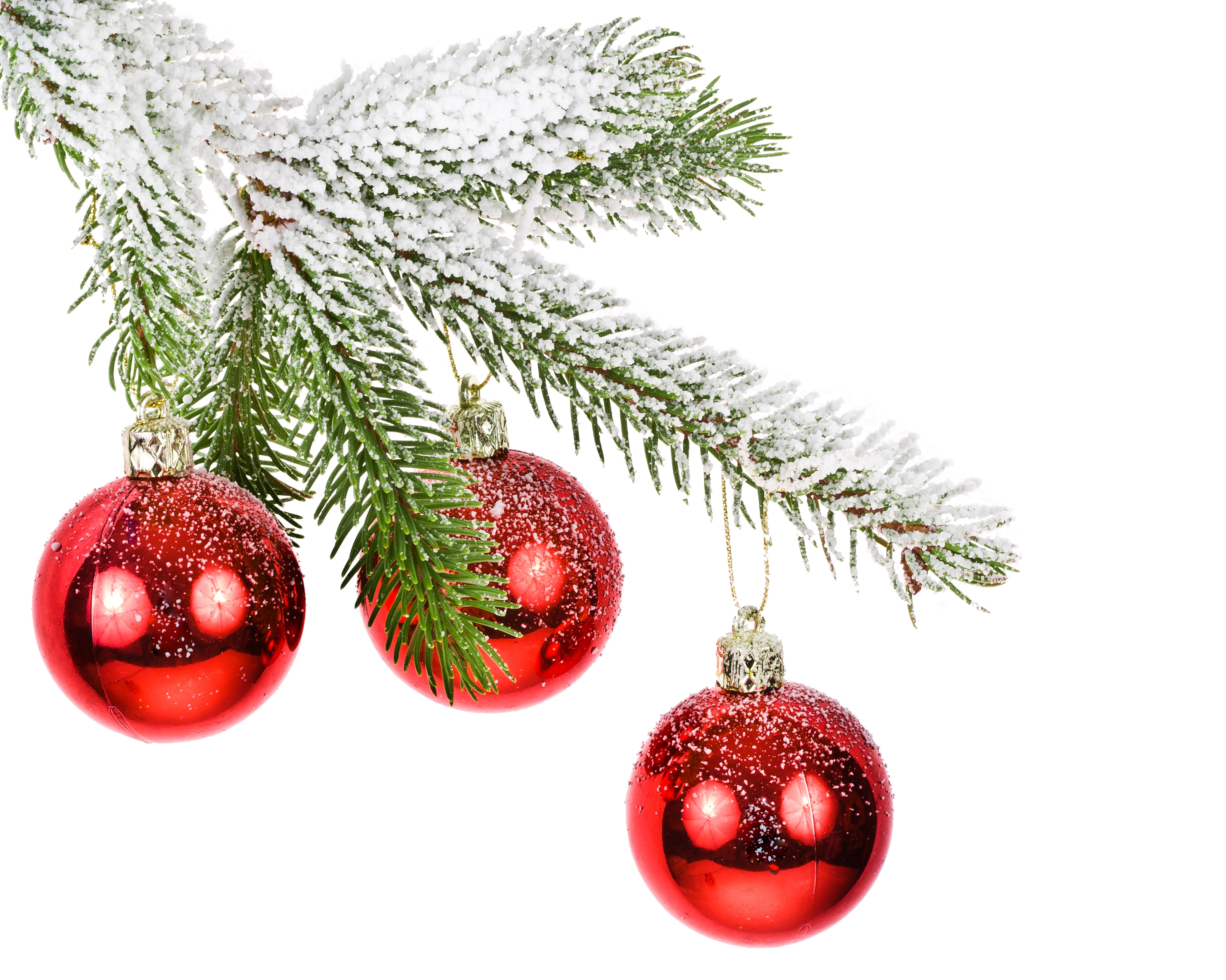 Christmas tree branch with red ornaments and snow HD Wallpaper