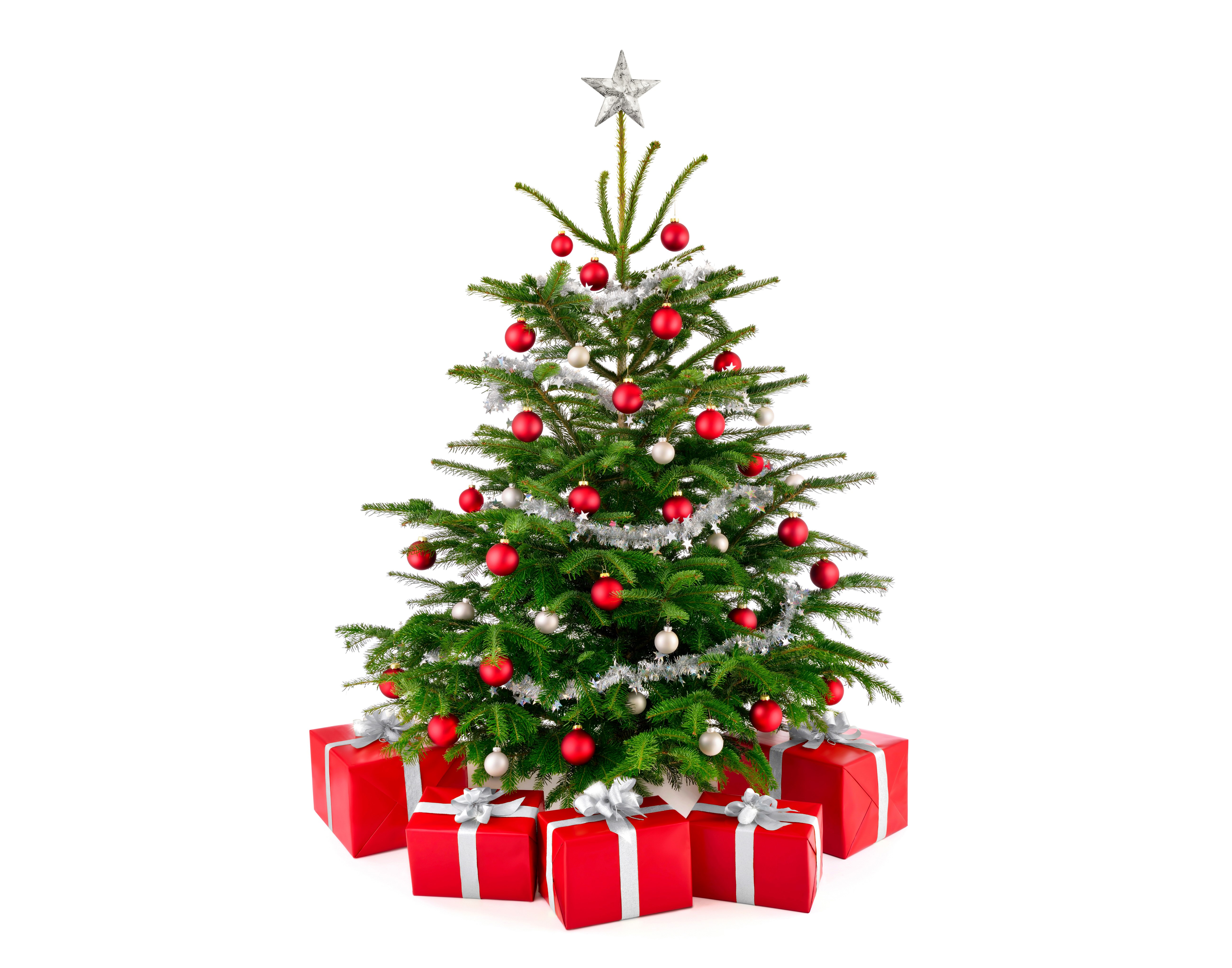 Christmas tree with red ornaments and gifts HD Wallpaper