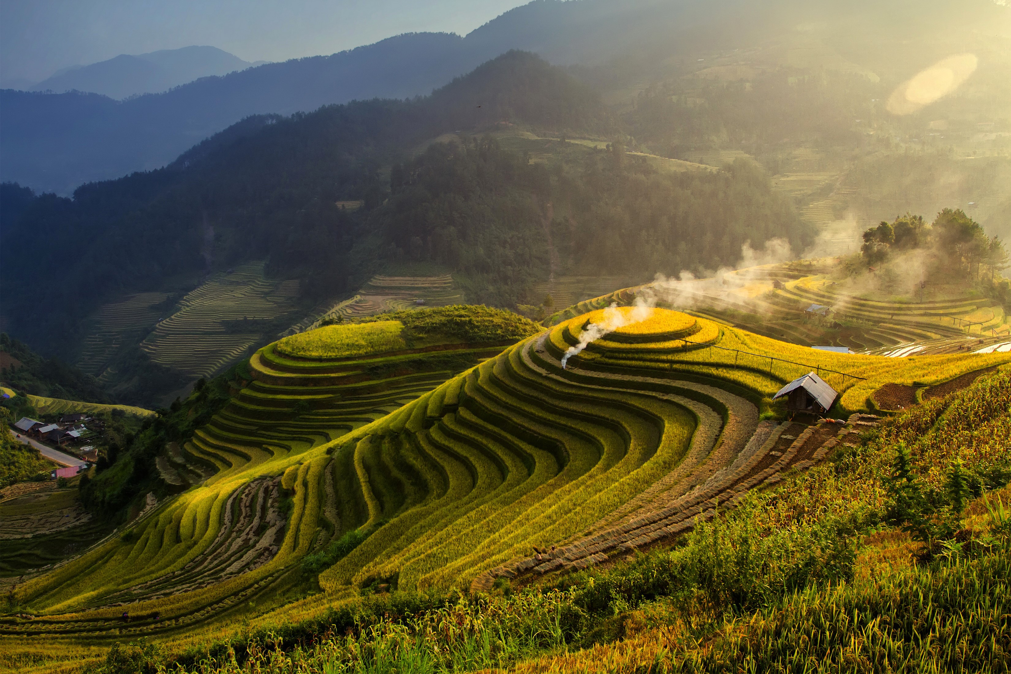 Terraced rice fields in the mountains at sunrise HD Wallpaper