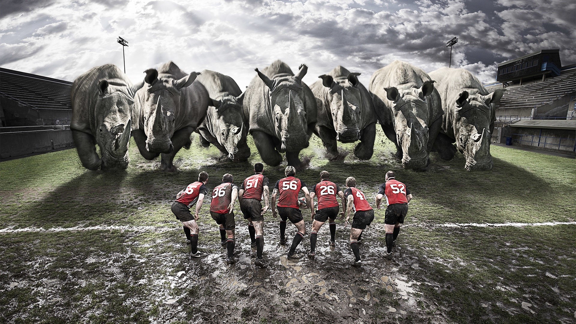 Rhinos charging at rugby players on a muddy field HD Wallpaper
