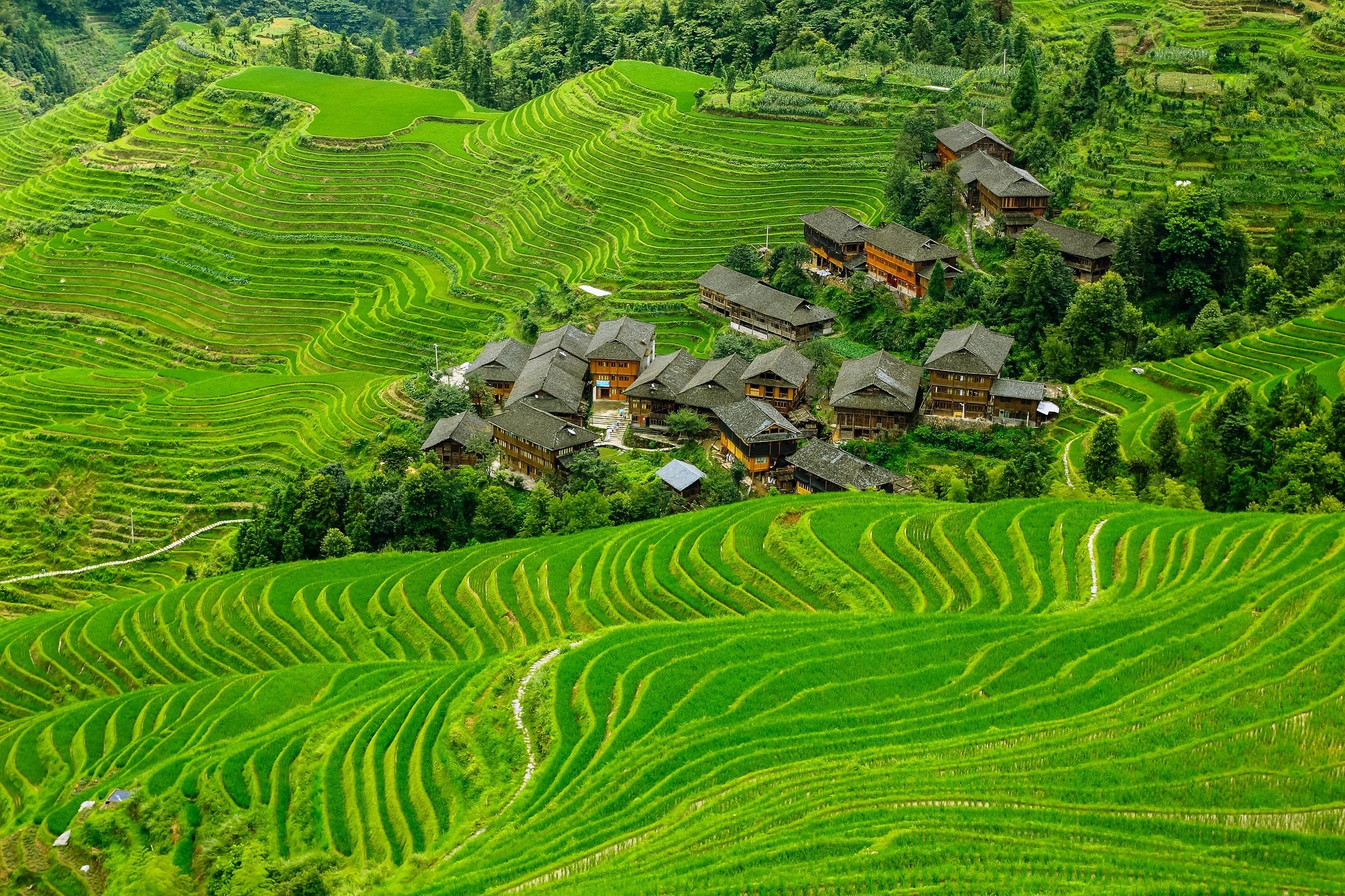 Longji Rice Terraces in China HD Wallpaper