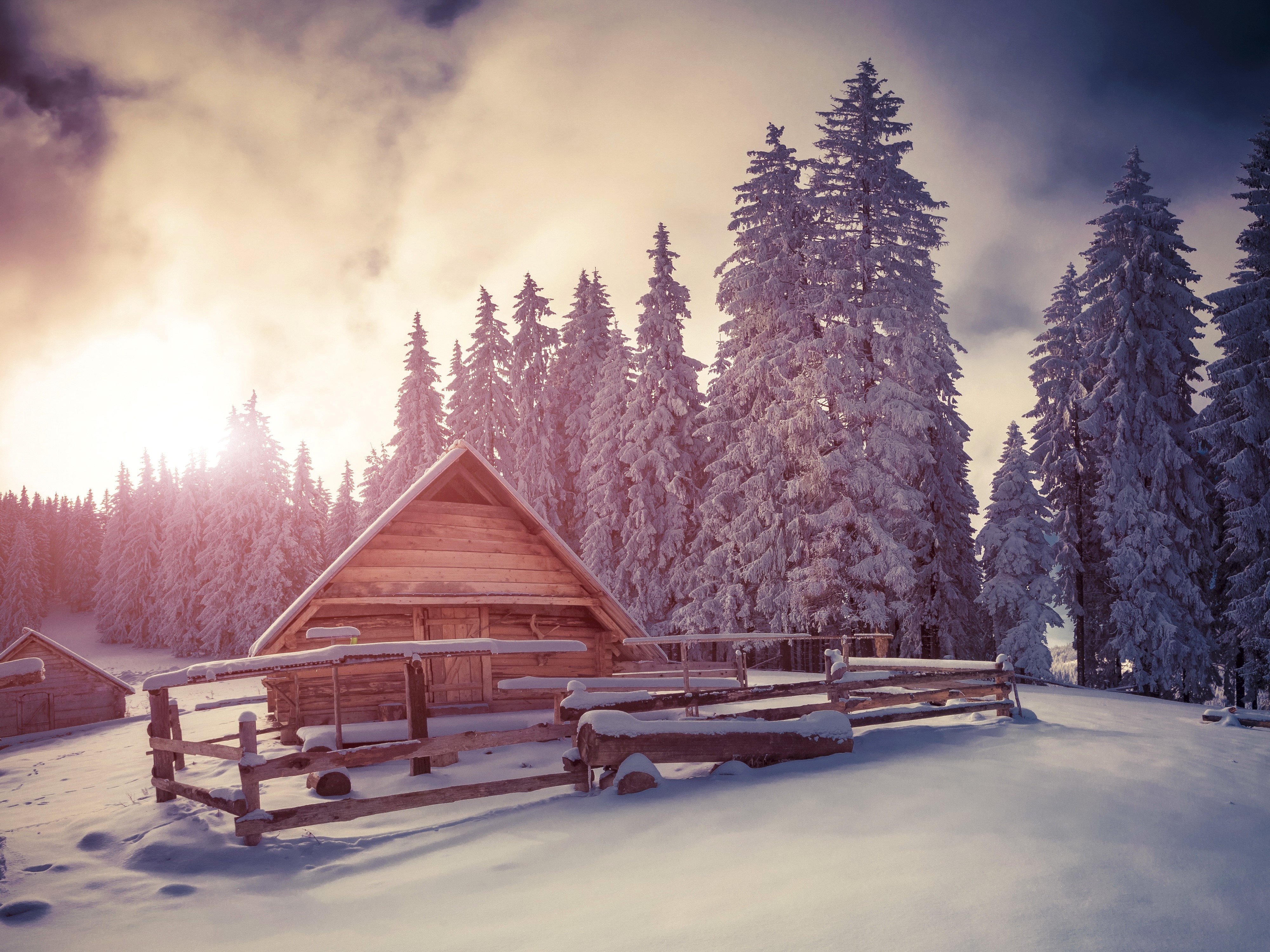 Winter scene with snow-covered spruce trees and wooden houses HD Wallpaper