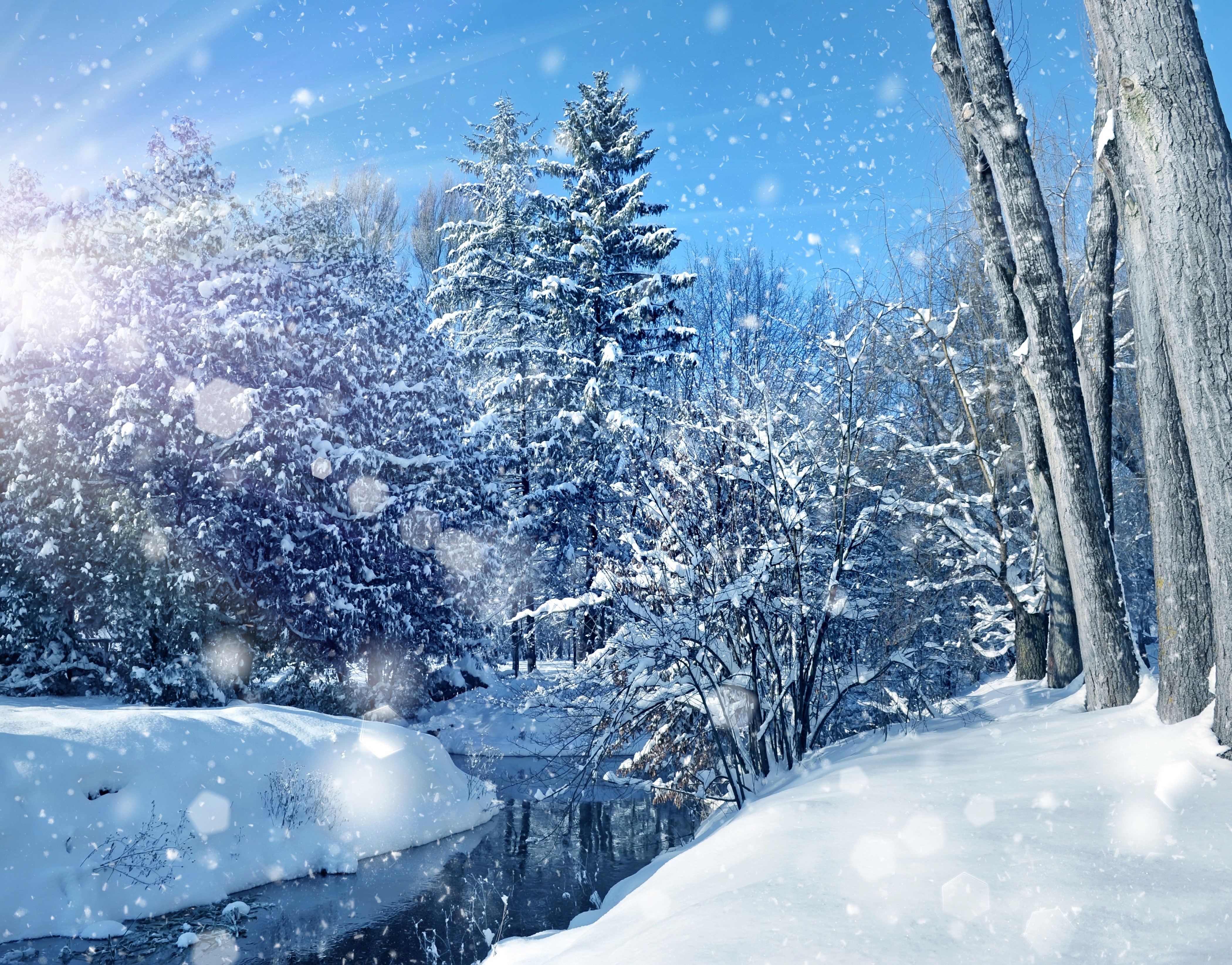 Winter forest with river and snow HD Wallpaper