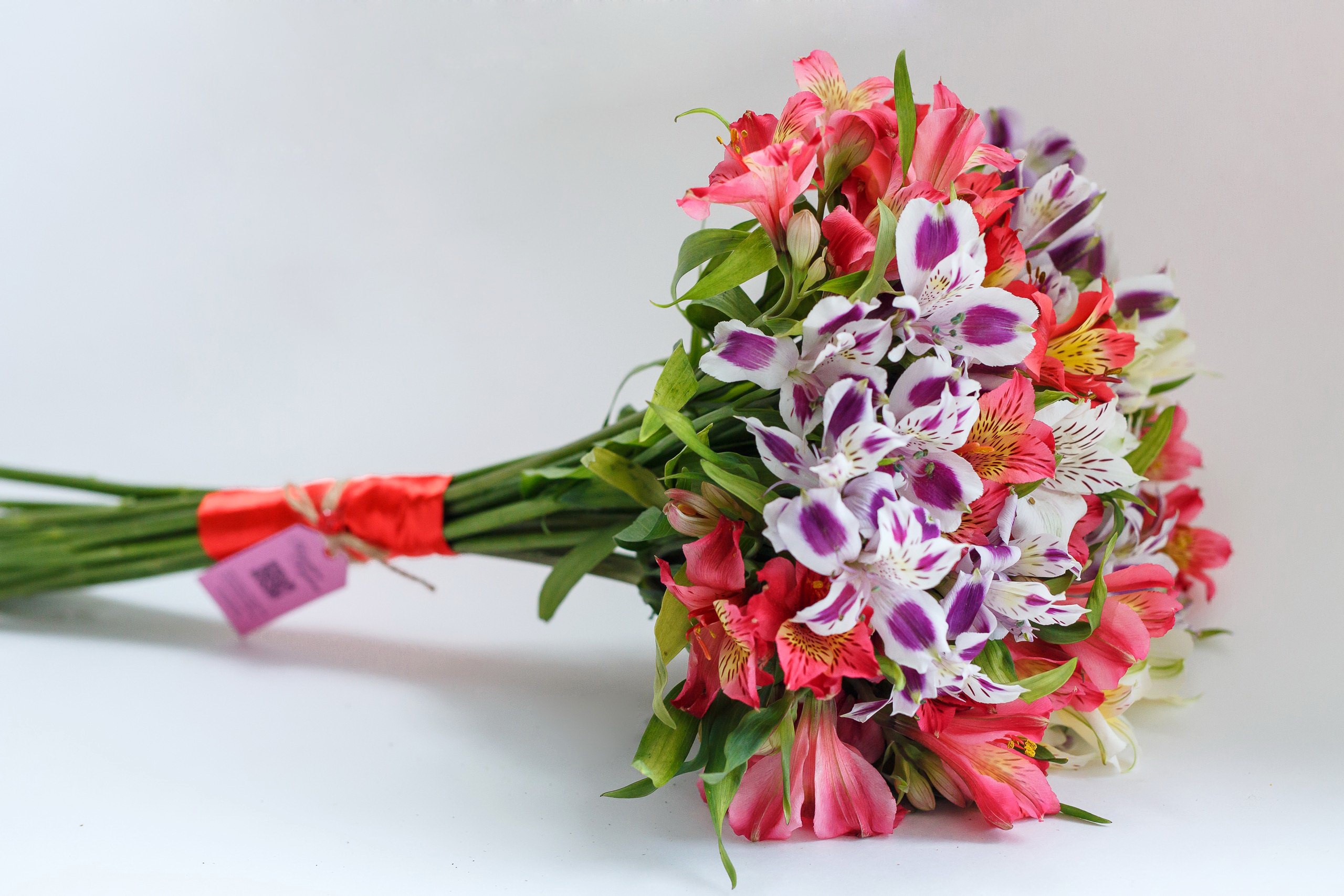 Bouquet of Alstroemeria flowers on a white background HD Wallpaper