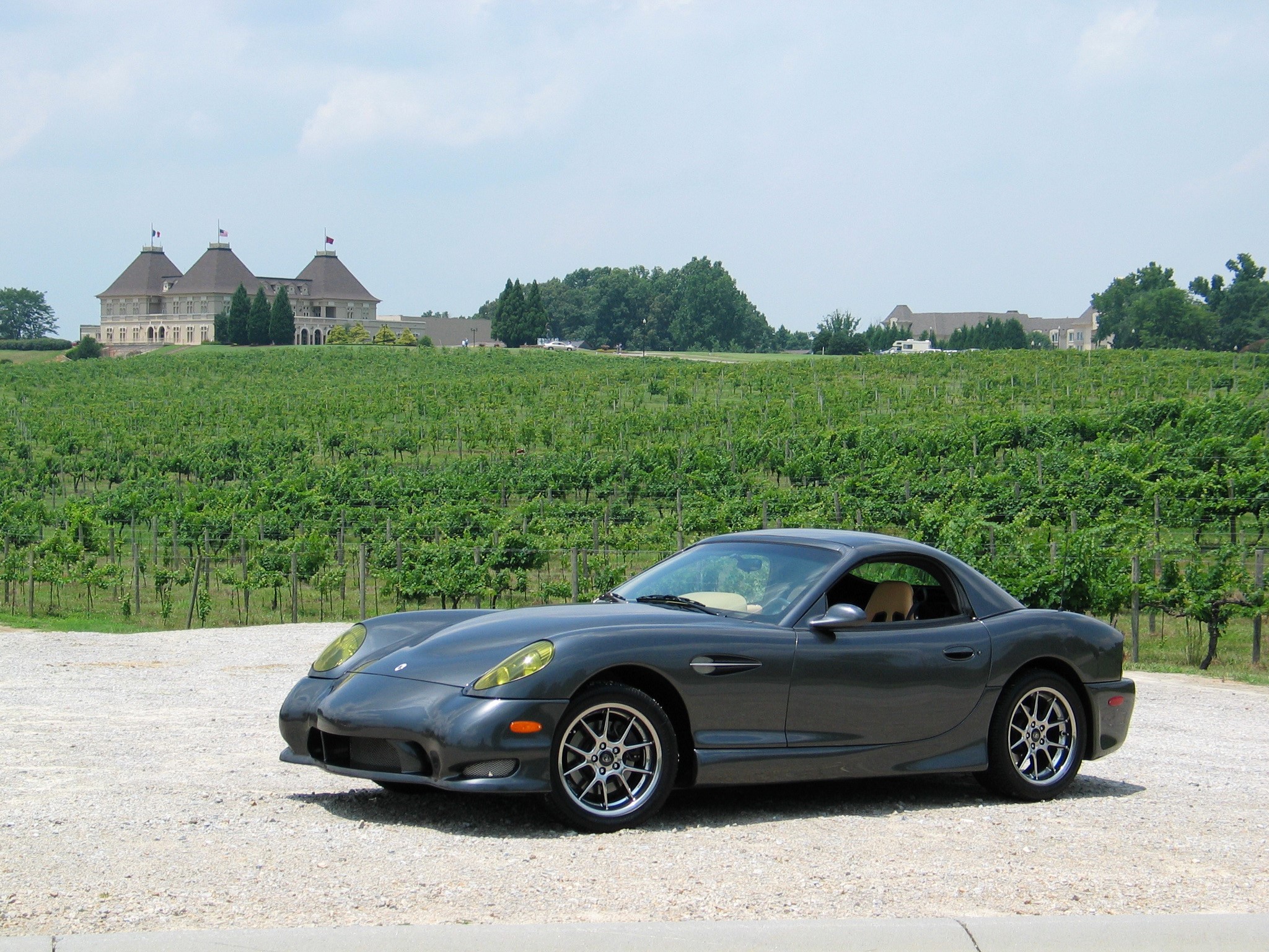 Grey 2004 Panoz Esperante parked at vineyard HD Wallpaper