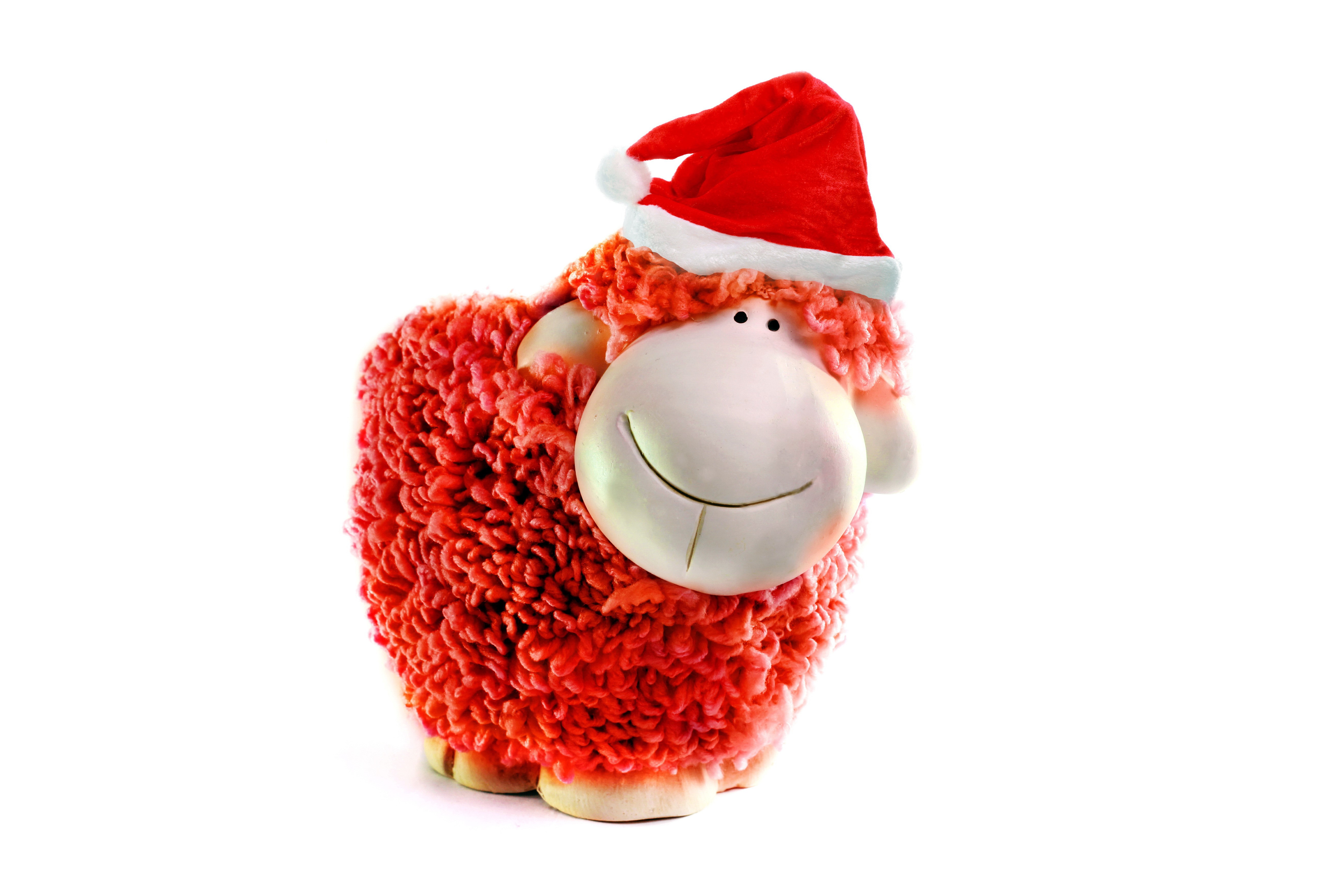 Christmas sheep with Santa hat HD Wallpaper