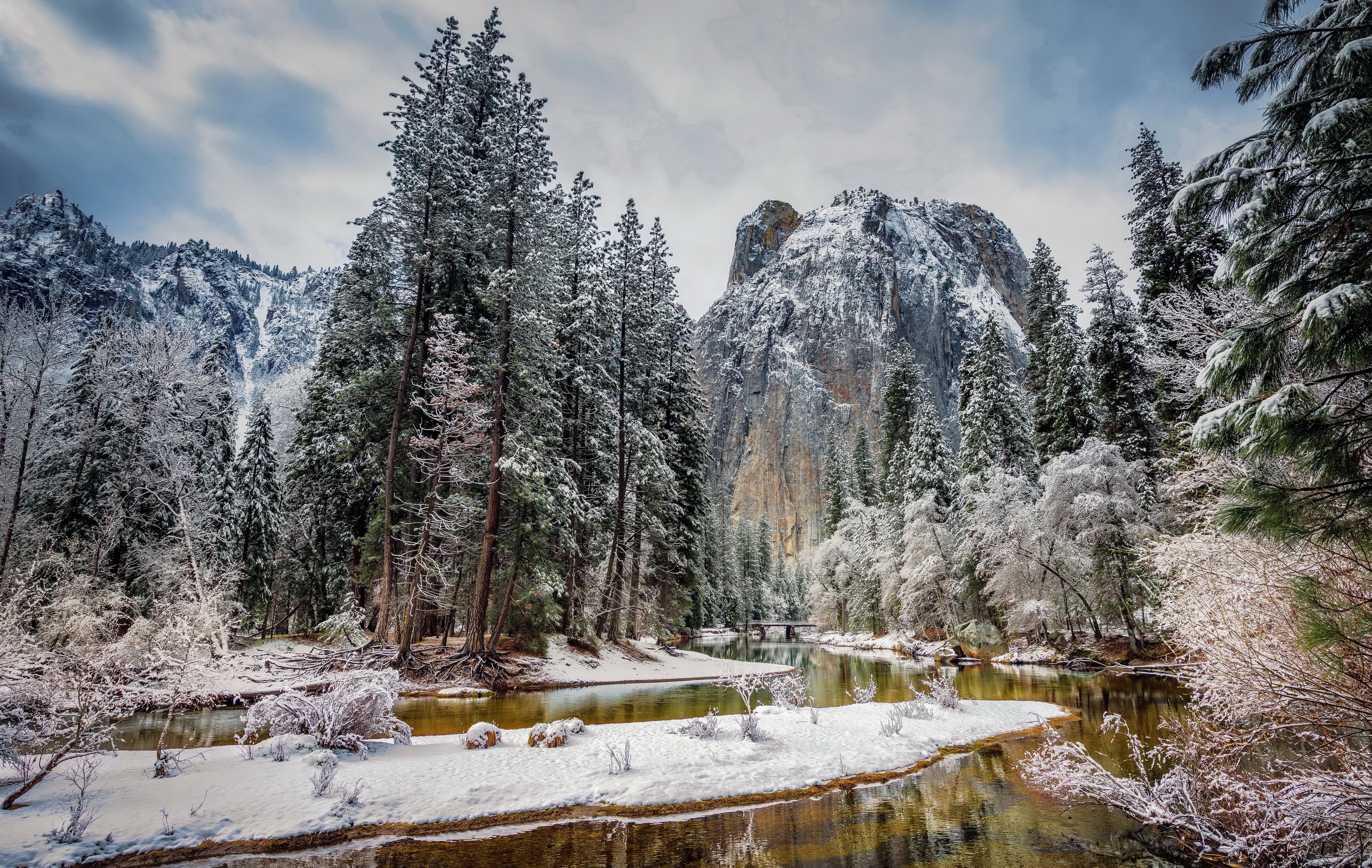 Winter scene in Yosemite National Park with snow-covered trees and mountains HD Wallpaper