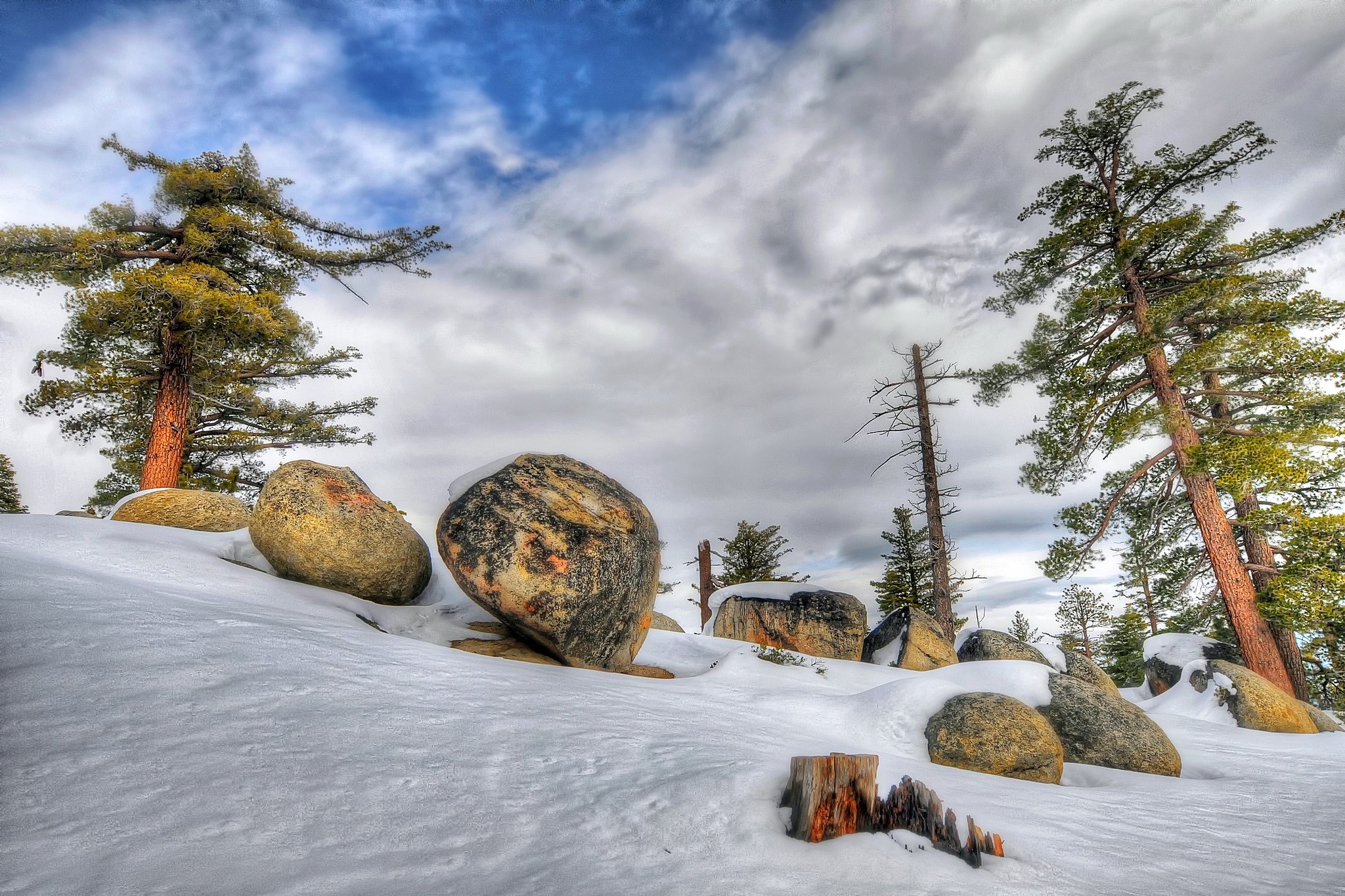 Snowy mountain landscape with pine trees and boulders HD Wallpaper