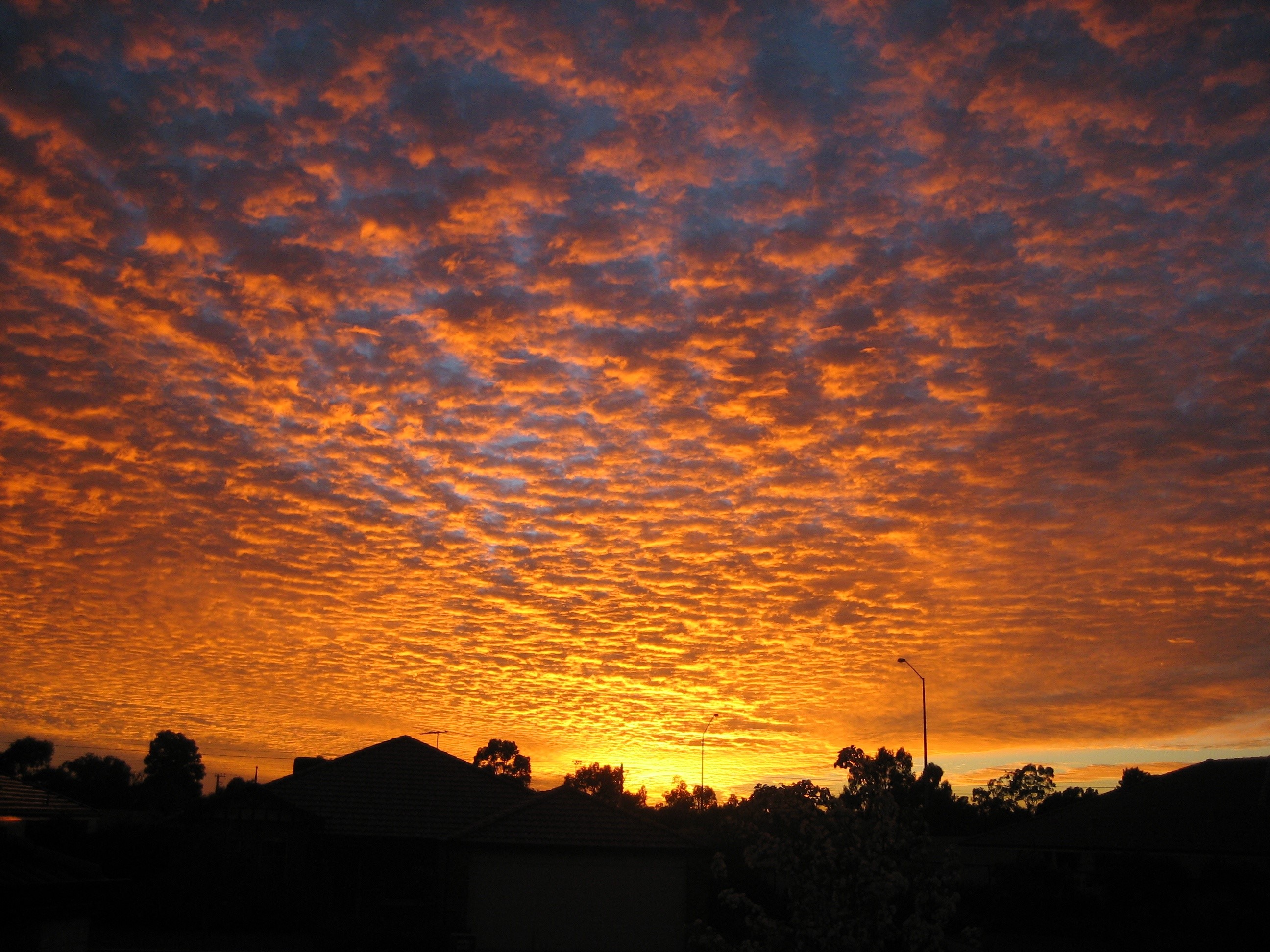 Sunset over suburban rooftops with orange clouds HD Wallpaper