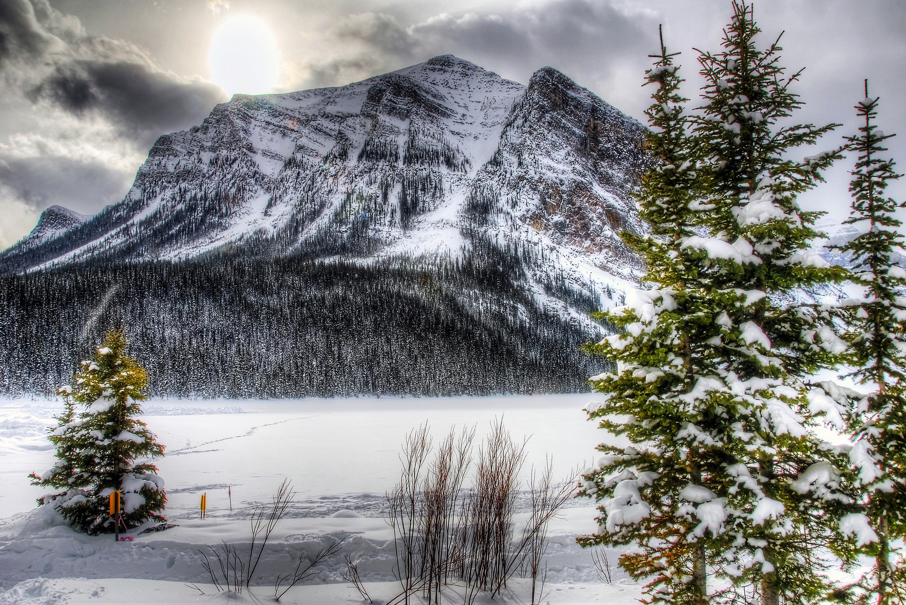 Snowy Mountain Landscape with Spruce Trees in Banff National Park HD Wallpaper