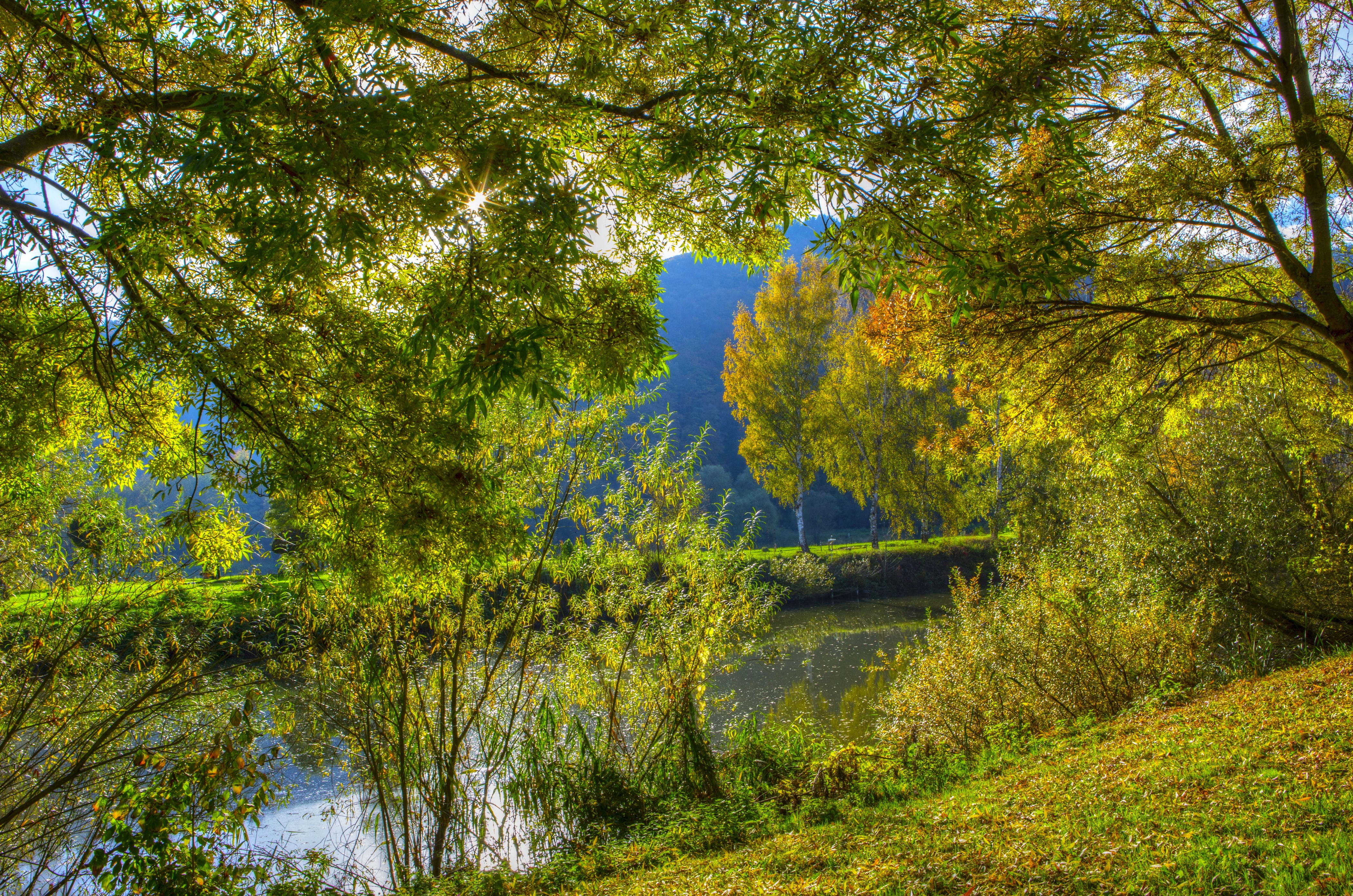 4K Nehren Germany River and Trees HD Wallpaper