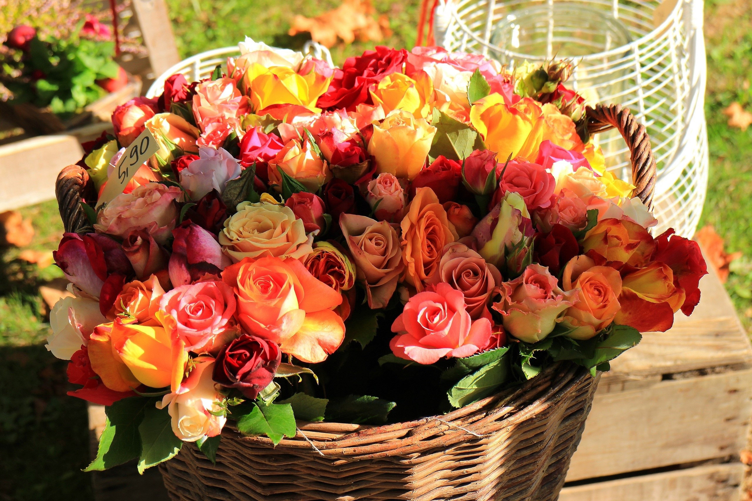 Basket of colorful roses HD Wallpaper