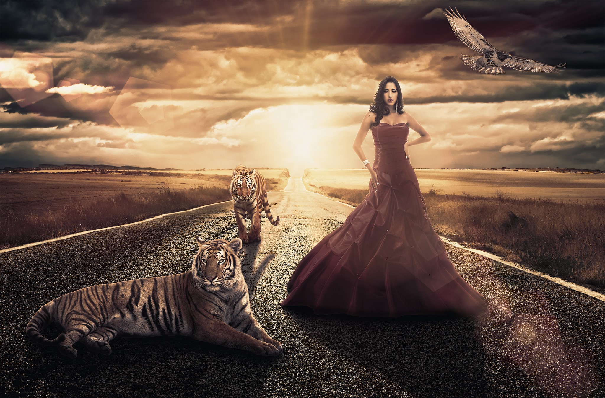 Woman in dress with tigers on a road at sunset HD Wallpaper