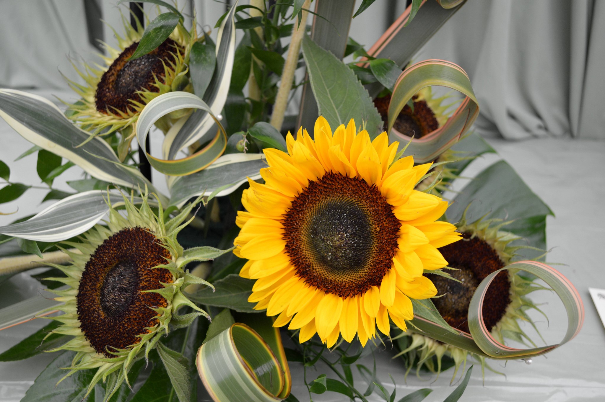 Arrangement of sunflowers and greenery HD Wallpaper