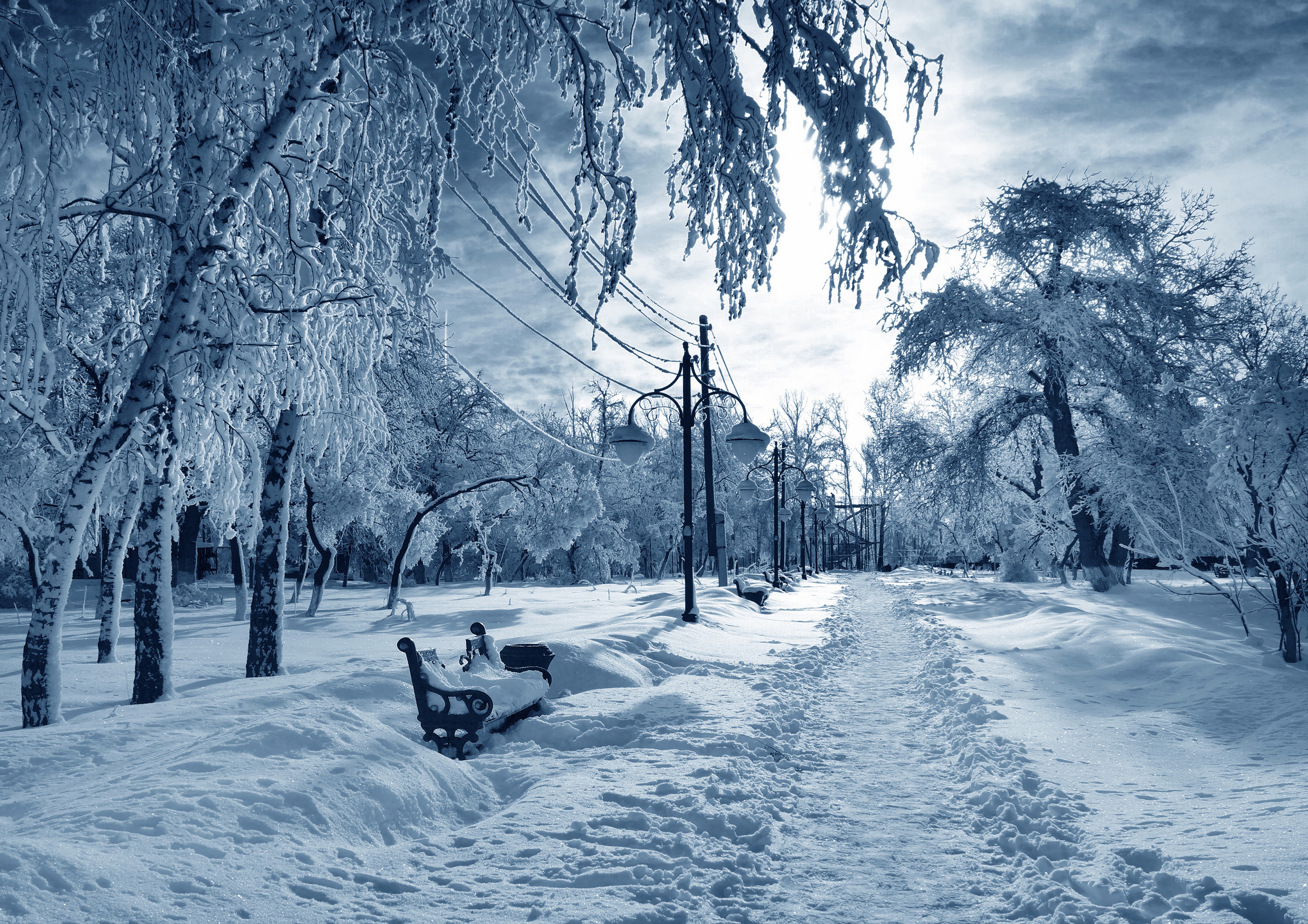 Winter park scenery with snow-covered trees and street lights HD Wallpaper