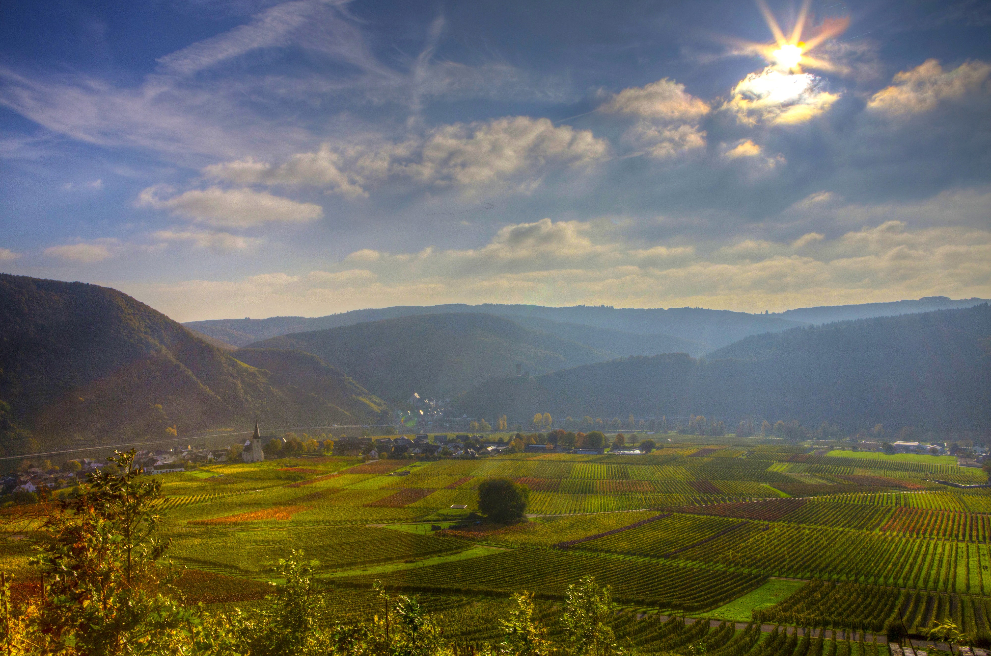 Vineyard fields in Ellenz, Germany with mountains and sky HD Wallpaper