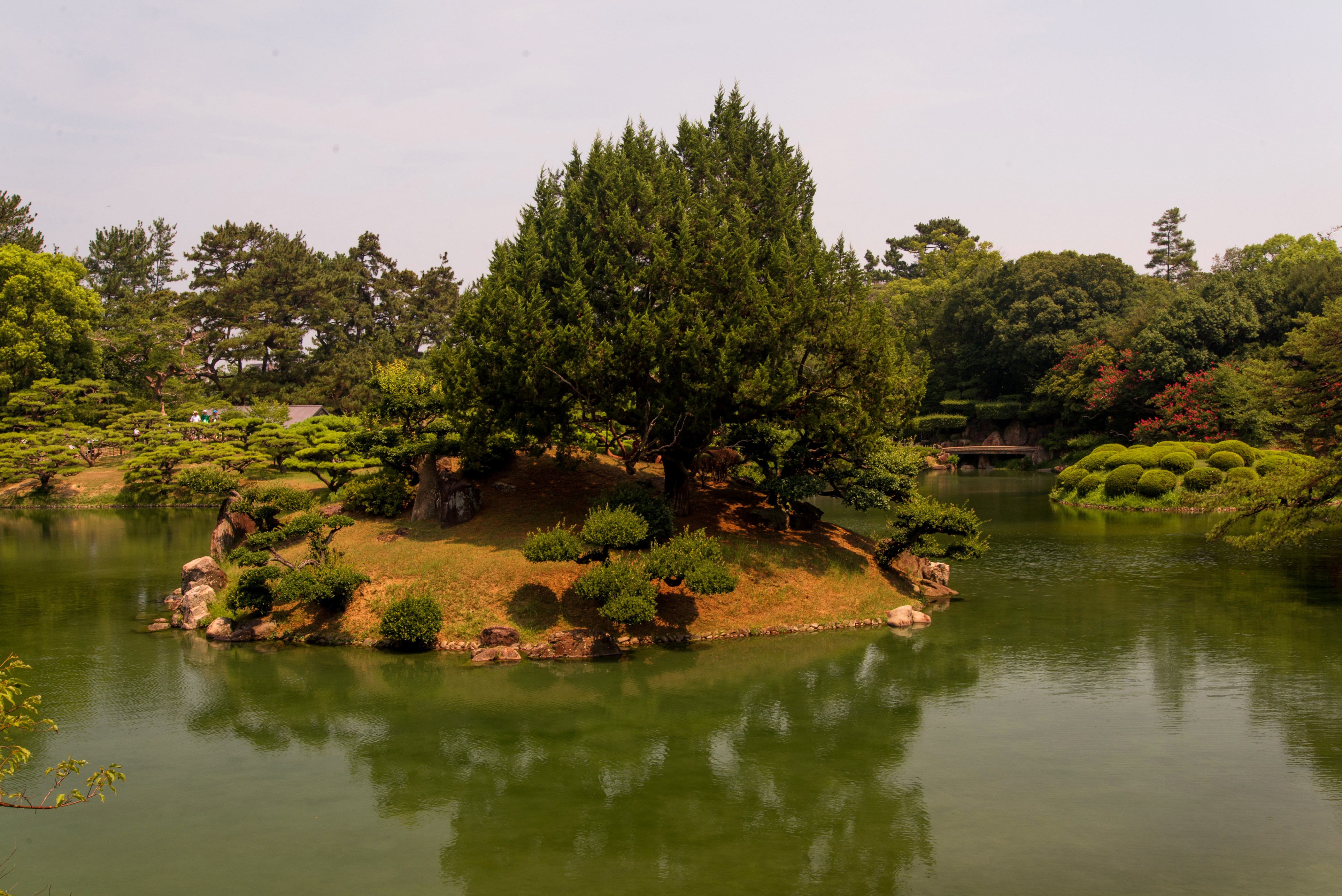 Takamatsu Ritsurin Garden Pond with Island Tree HD Wallpaper