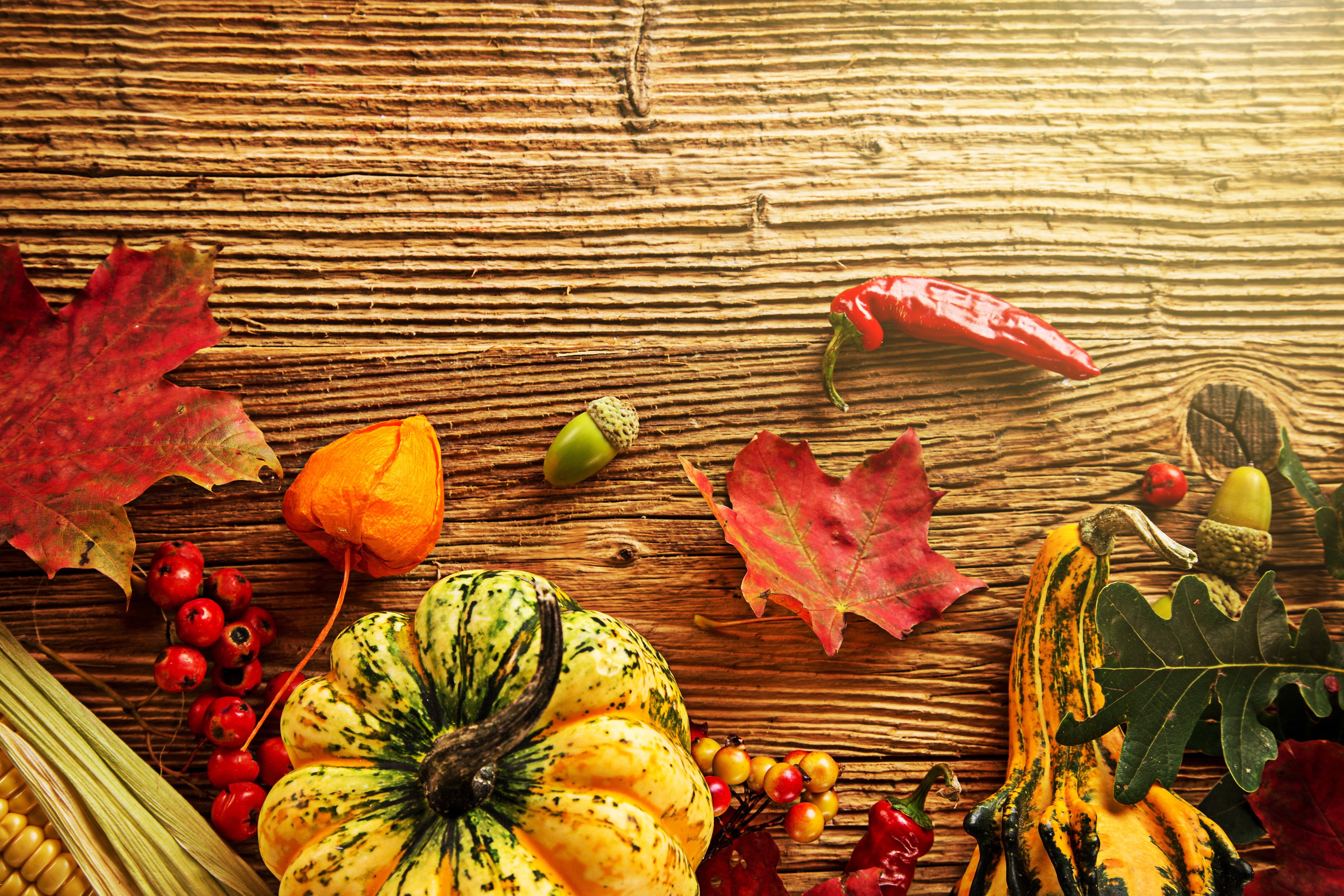 Autumn Harvest: Pumpkins, Peppers, and Leaves HD Wallpaper
