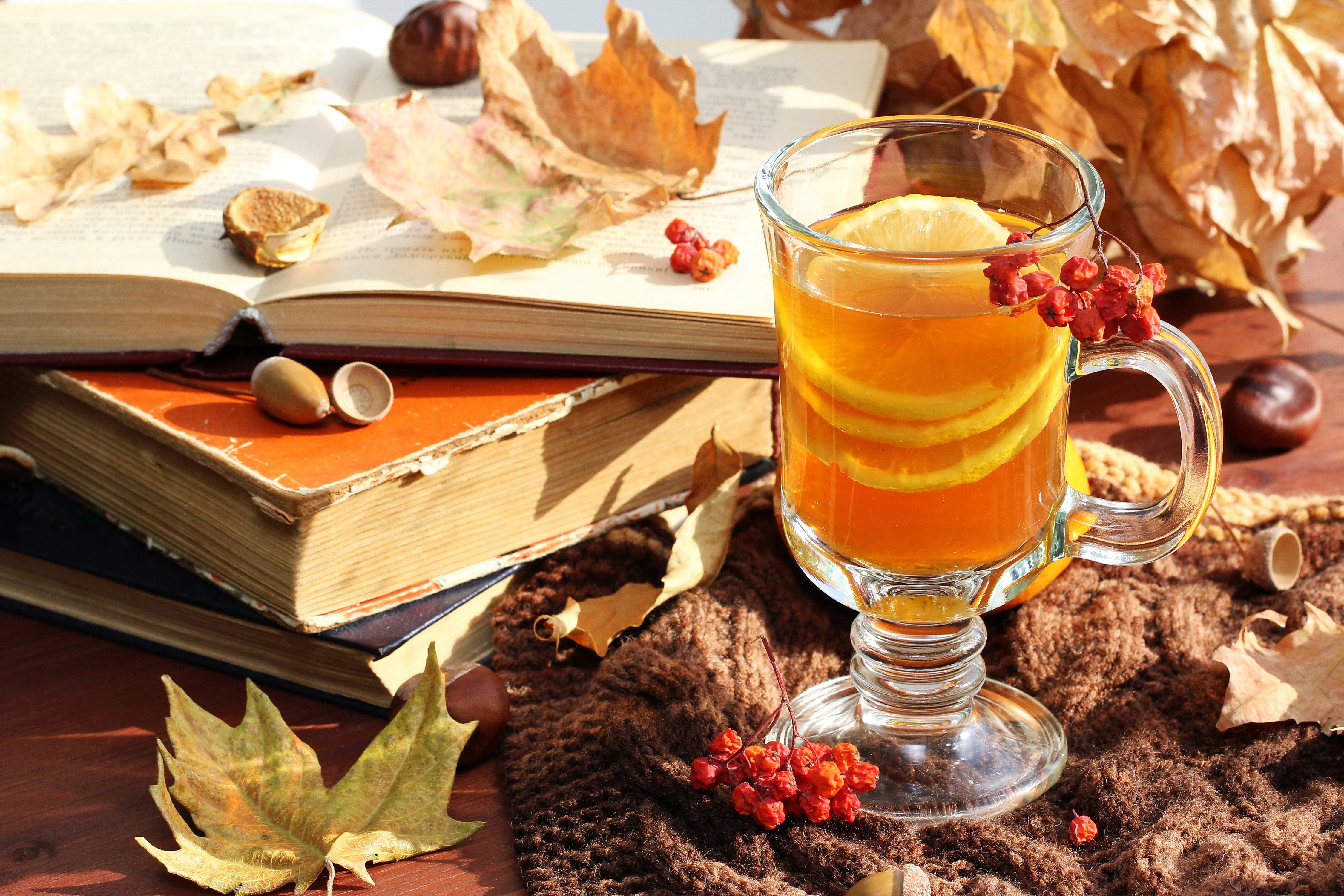 Autumn tea with lemon and books HD Wallpaper