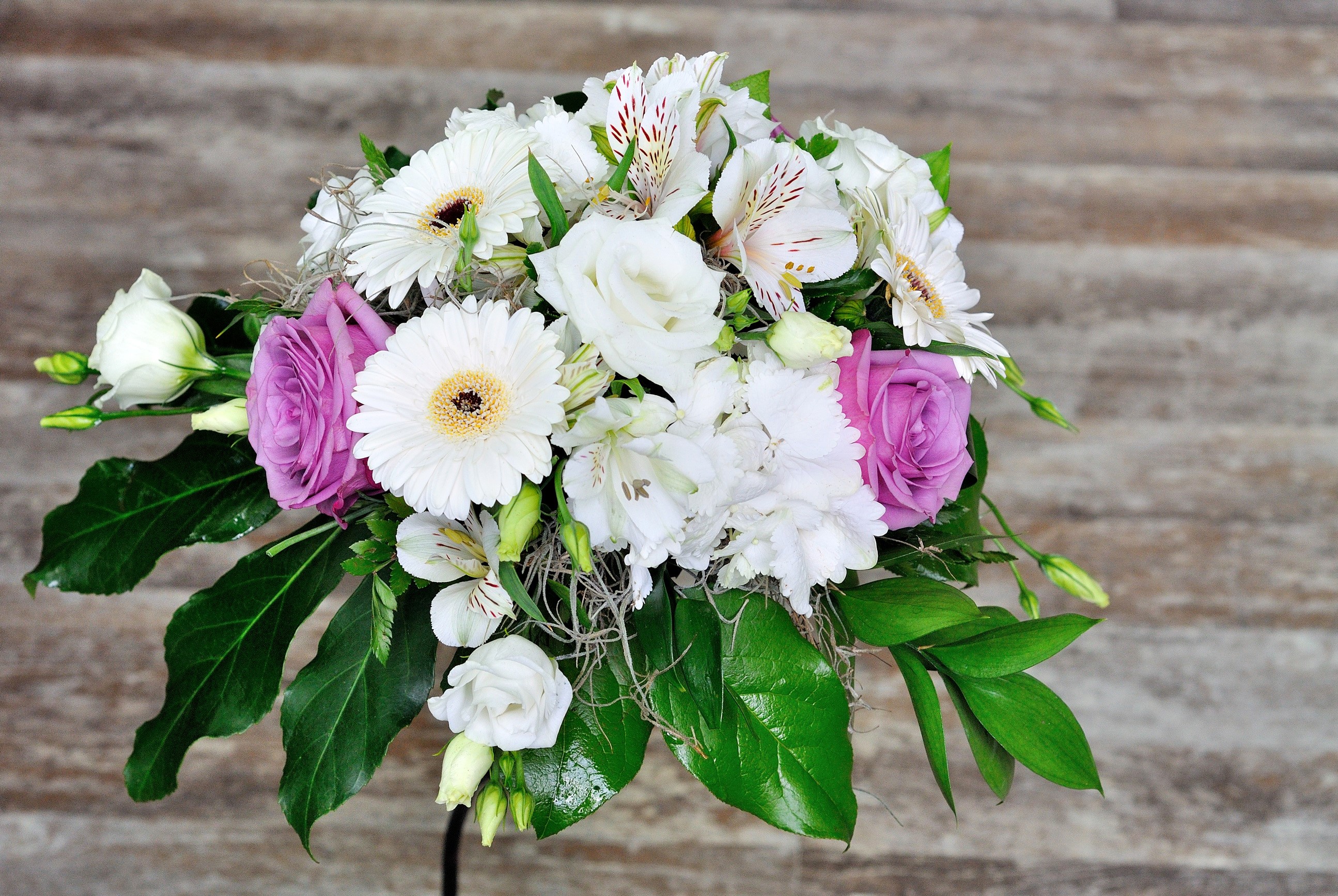 Bouquet of Roses, Gerberas, Eustoma, and Alstroemeria HD Wallpaper