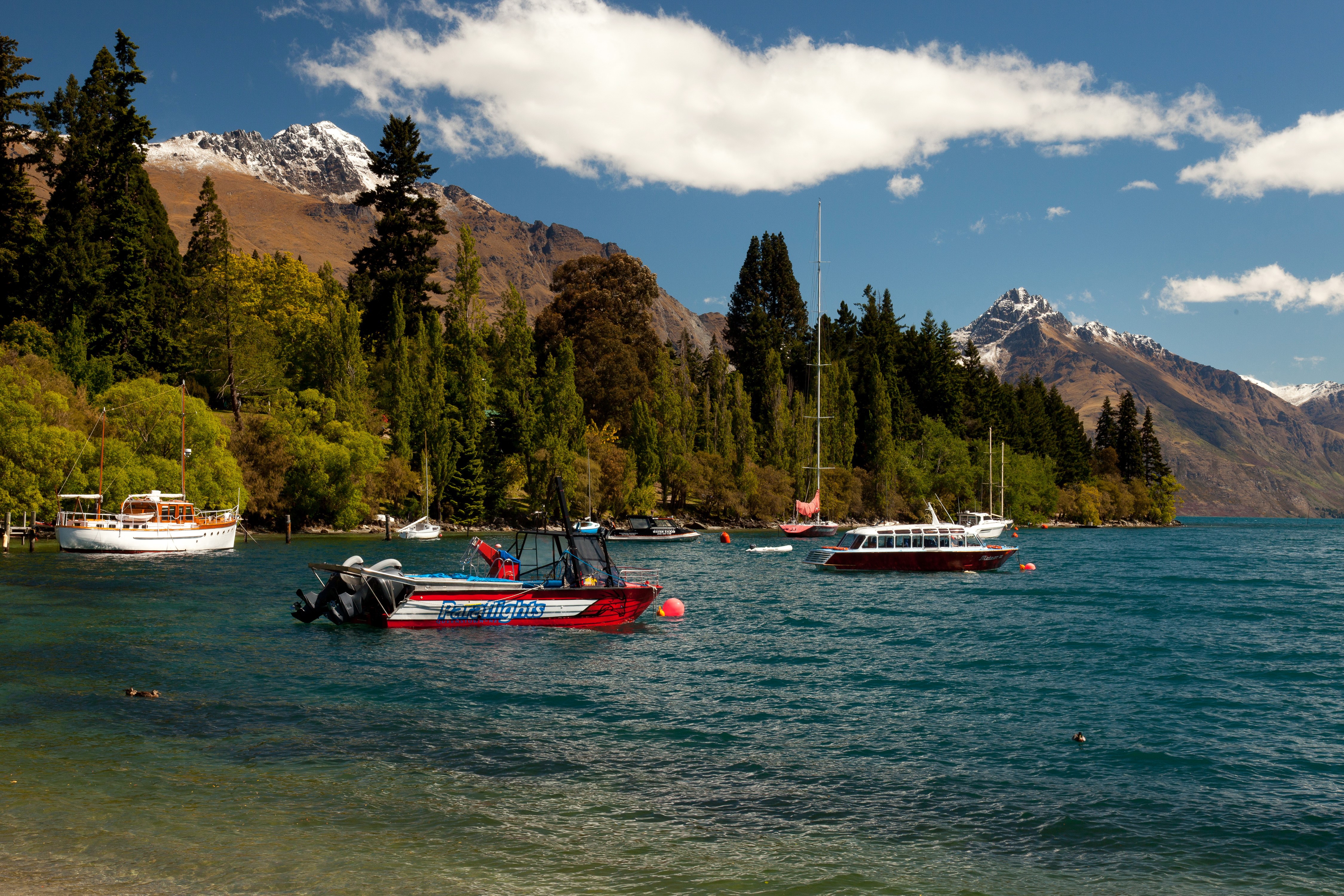 Lake Wakatipu Queenstown New Zealand Motorboat Trees HD Wallpaper